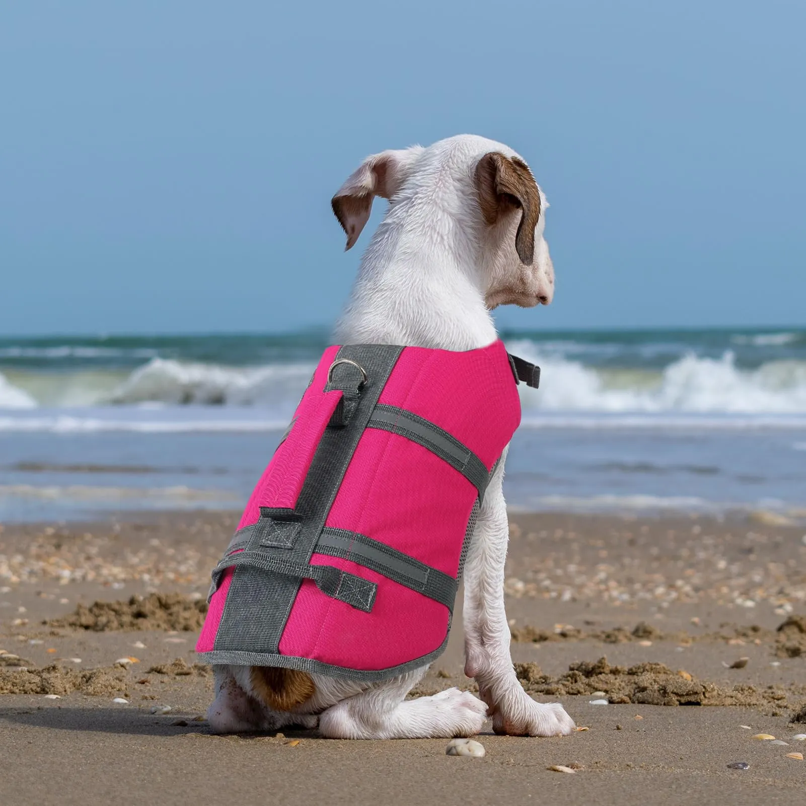 Queenmore Salvagente per Cani Piccoli, Regolabile e Riflettente (S, Fucsia) - immagine 7