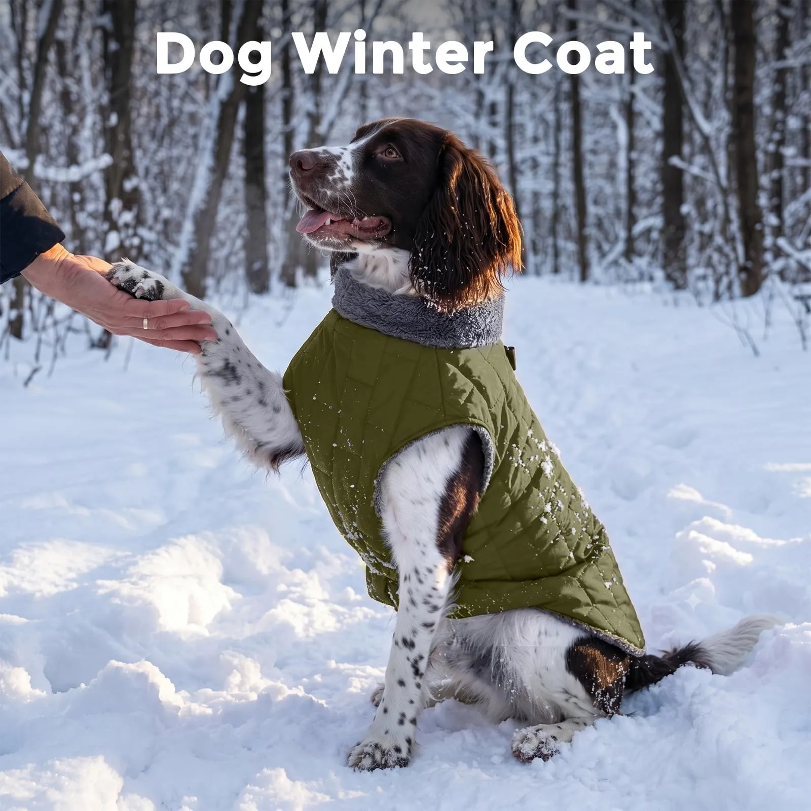 JoyDaog Giacca in pile per cani di piccola taglia con imbracatura, Verde, X-Small - immagine 2