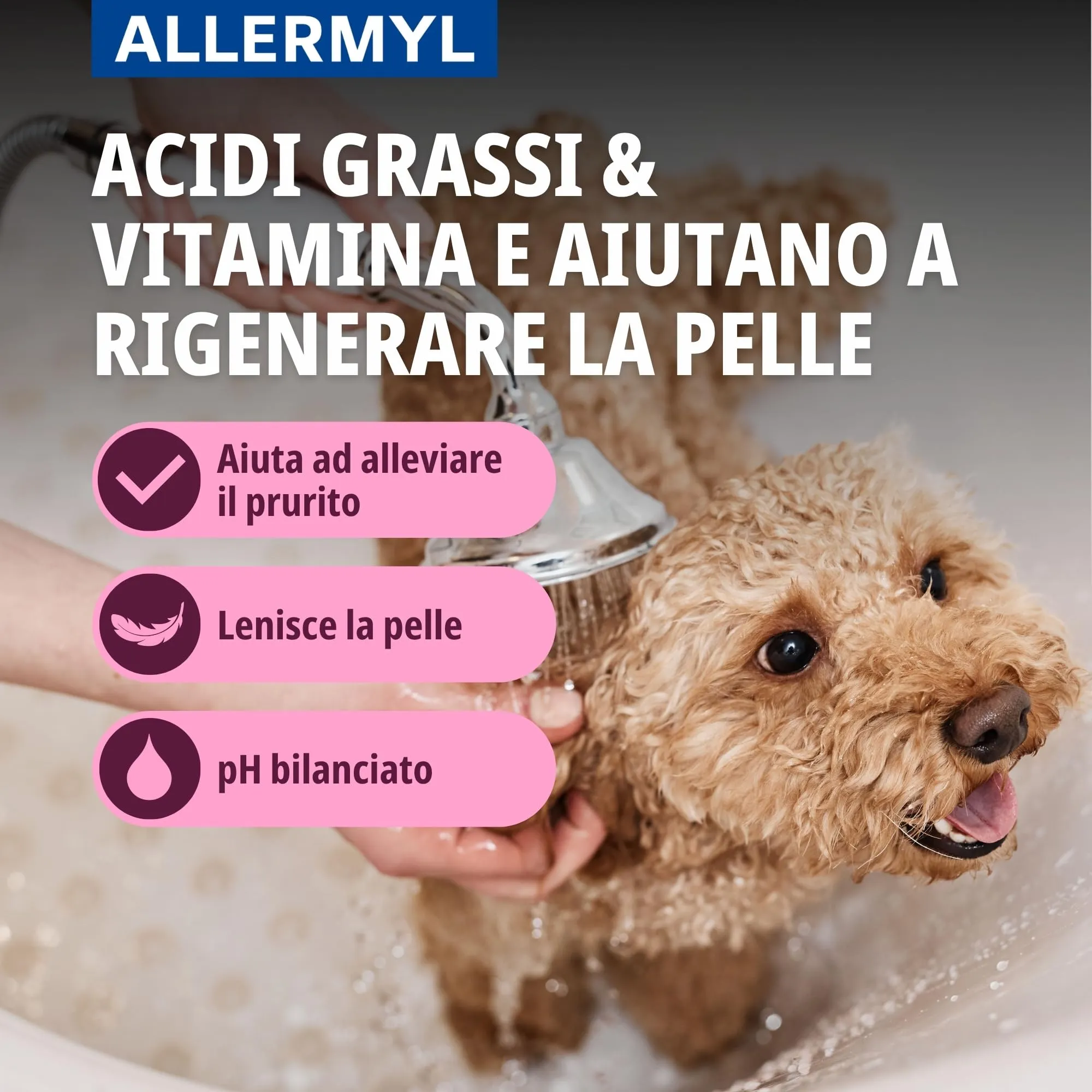 Virbac Allermyl Shampoo for Dogs and Cats, Allergic Skin, 250 ml - immagine 3