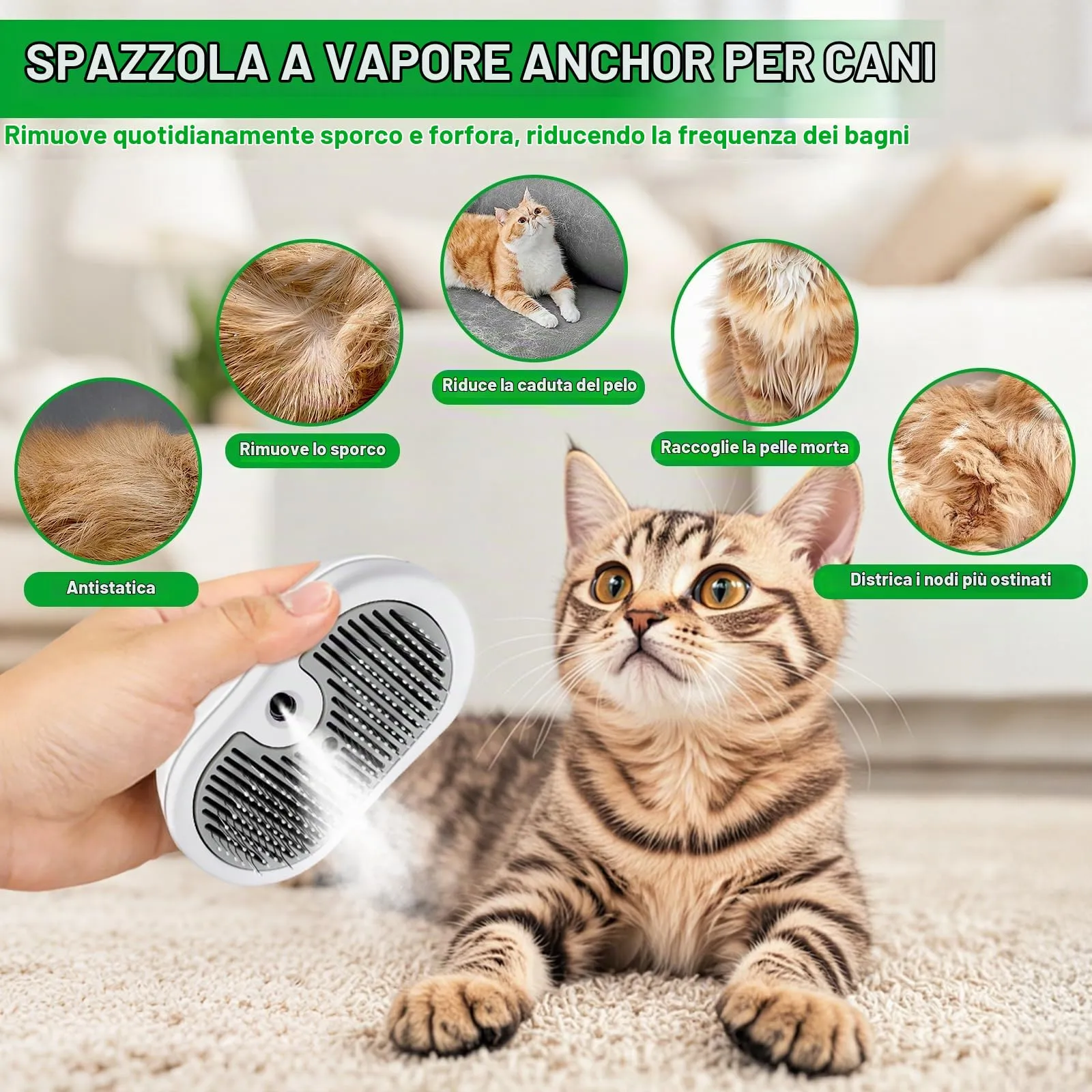 SACBRZZ Spazzola a Vapore Ricaricabile per Cani, Gatti e Conigli - immagine 3