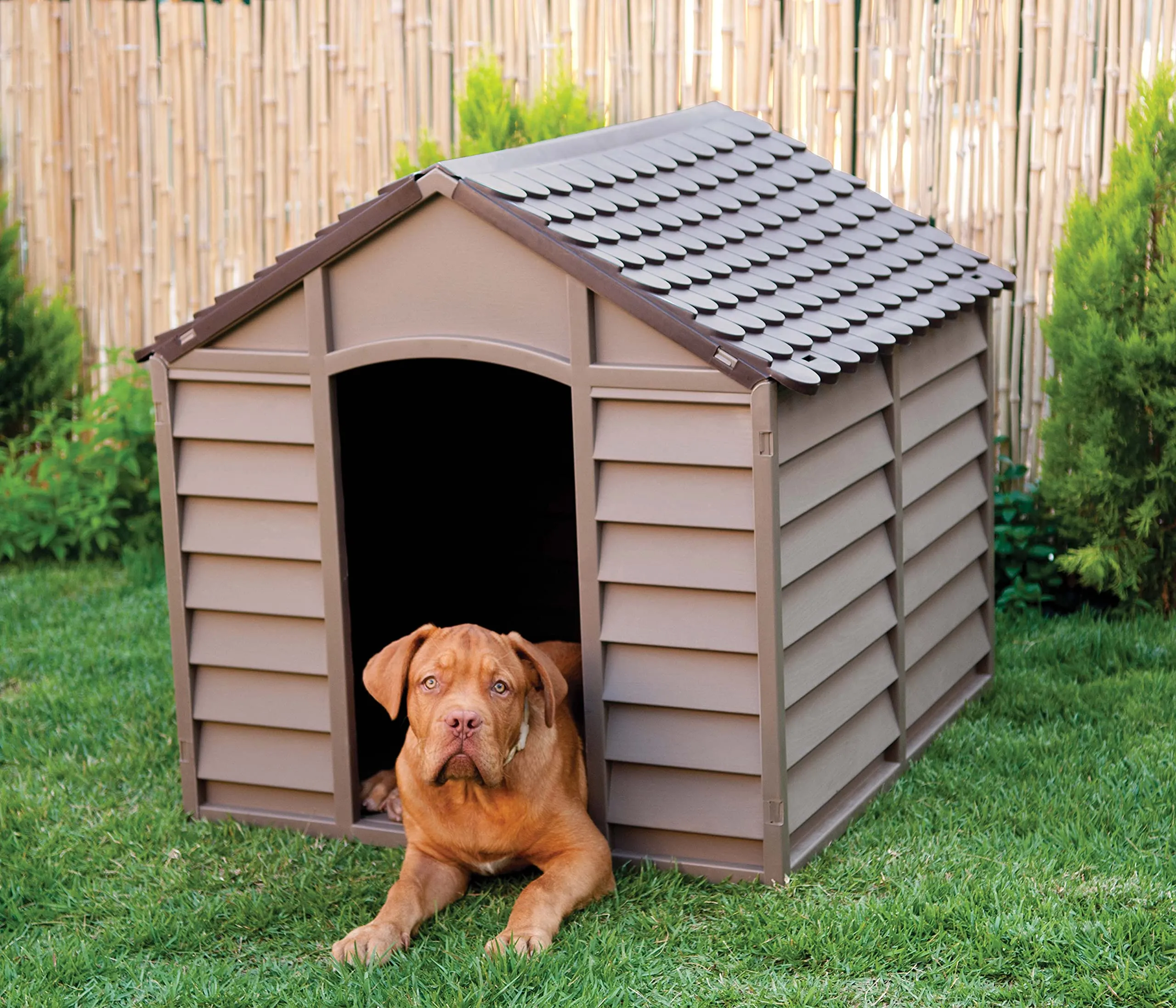 Vigor Dog Kennel 71x71x68 cm - Mocha/marrone scuro - immagine 2