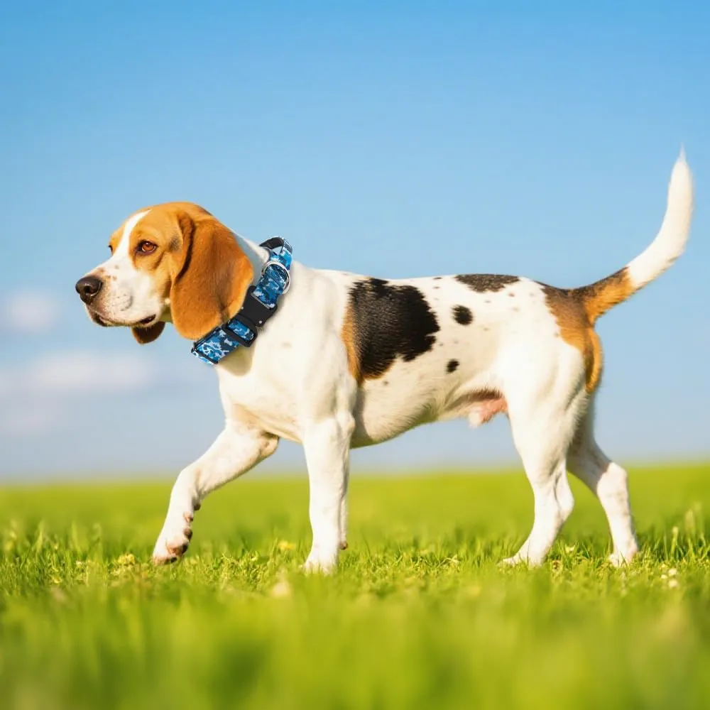 TSPRO Collare Tattico per Cane con Fibbia a Sblocco Rapido e Maniglia, 3,3 cm - immagine 6