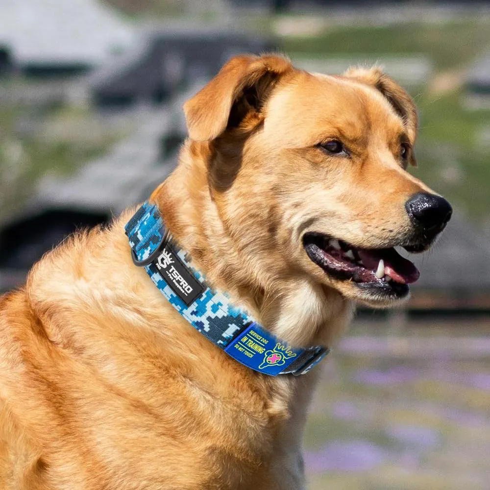 TSPRO Collare Tattico per Cani con Fibbia a Sblocco Rapido e Pannello per Toppe, Mimetico, Taglia L (47,0–63,5 cm) - immagine 6