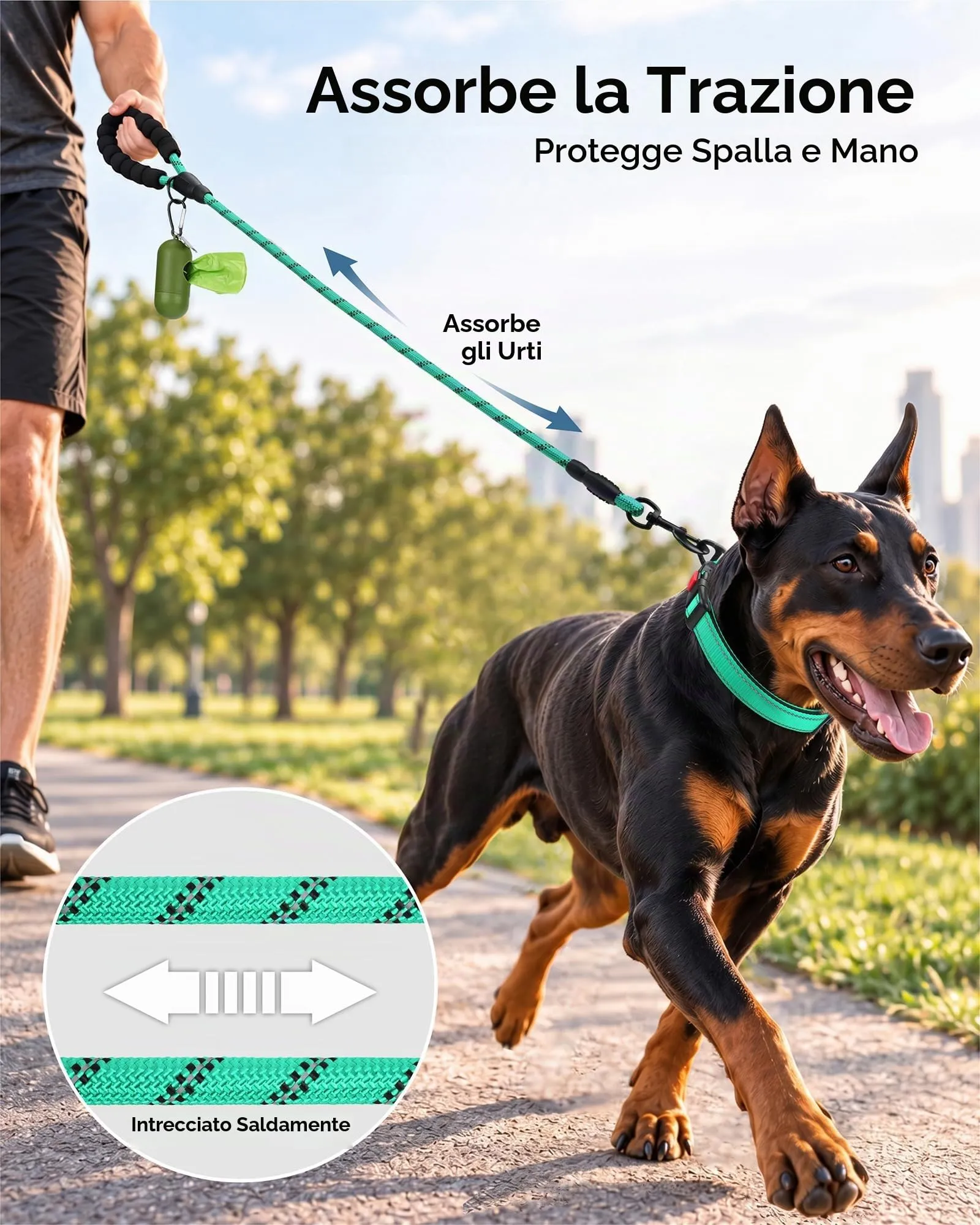 Taglory Guinzaglio per Cani in Corda con Manico Imbottito, Riflettente, Turchese, 120cm x 1.2cm - immagine 3