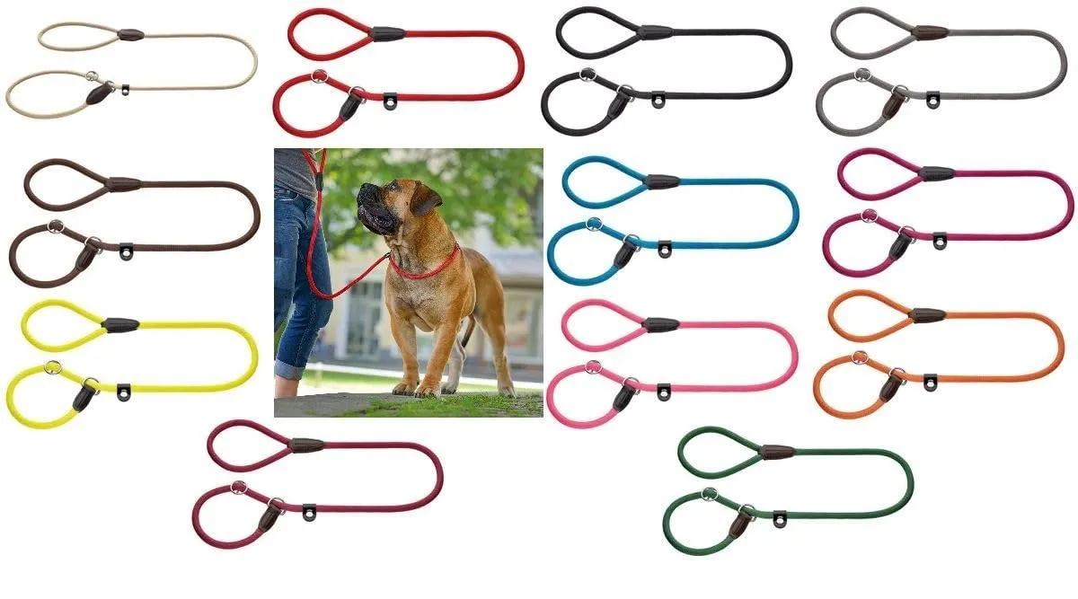 Hunter Retriever Freestyle Leash, 0.8 x 120 cm, Petrolio, Nylon and Leather - immagine 6