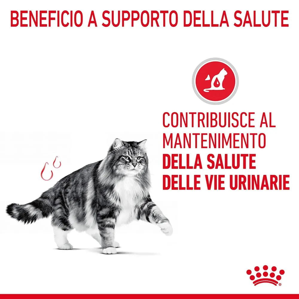 Royal Canin Urinary Care Alimento secco per gatti, 2kg - immagine 4