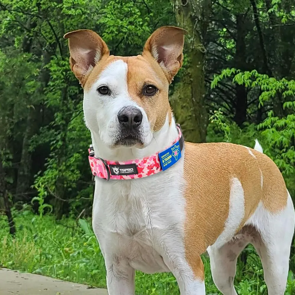 TSPRO Collare Tattico per Cani con Fibbia a Sblocco Rapido e Pannello per Toppe, Camo Rosa, L (47,0–63,5 cm) - immagine 6