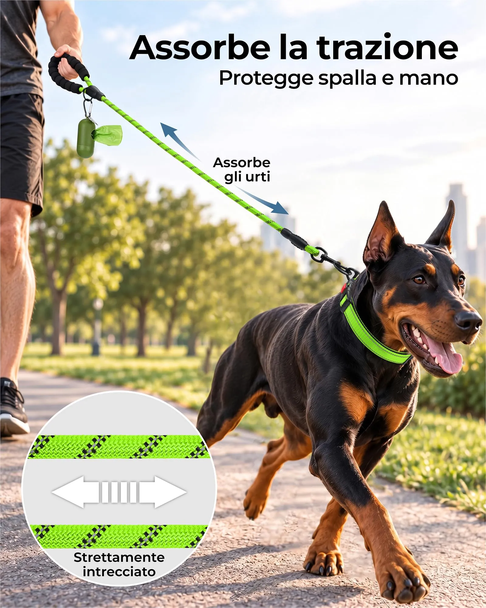 Taglory Guinzaglio per Cani in Corda con Manico Imbottito, 180cm x 1.2cm, Verde - immagine 3