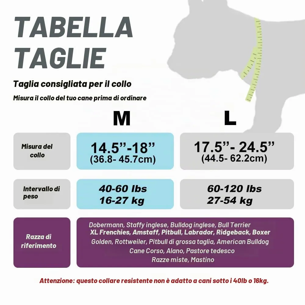 TSPRO Collare Tattico per Cane con Fibbia a Sblocco Rapido e Maniglia, 3,3 cm - immagine 2