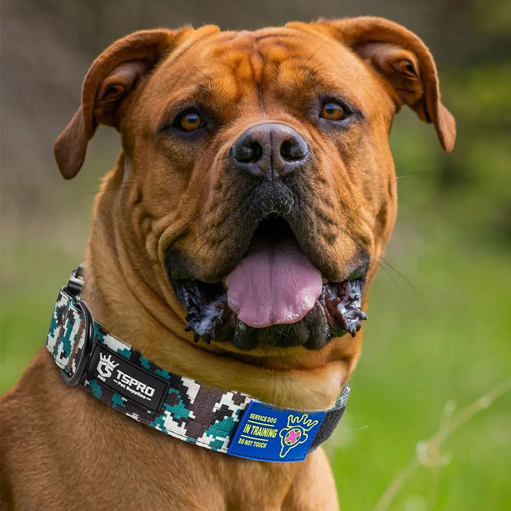 TSPRO Collare Tattico per Cani con Fibbia a Sblocco Rapido e Pannello per Toppe, Mimetico Ciano, Taglia L (47,0–63,5 cm) - immagine 6