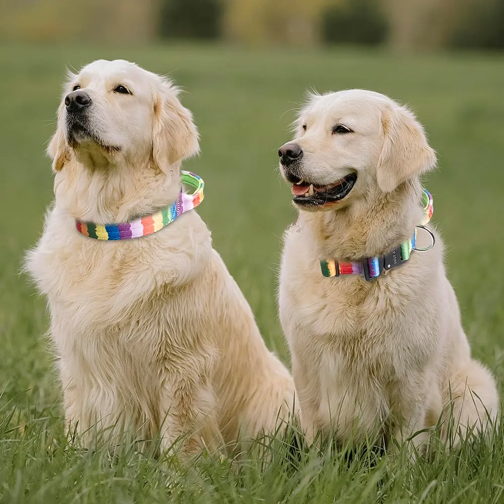 TSPRO Collare Tattico per Cane con Fibbia a Sblocco Rapido e Maniglia, Largo 3,3 cm, Degradé - immagine 6