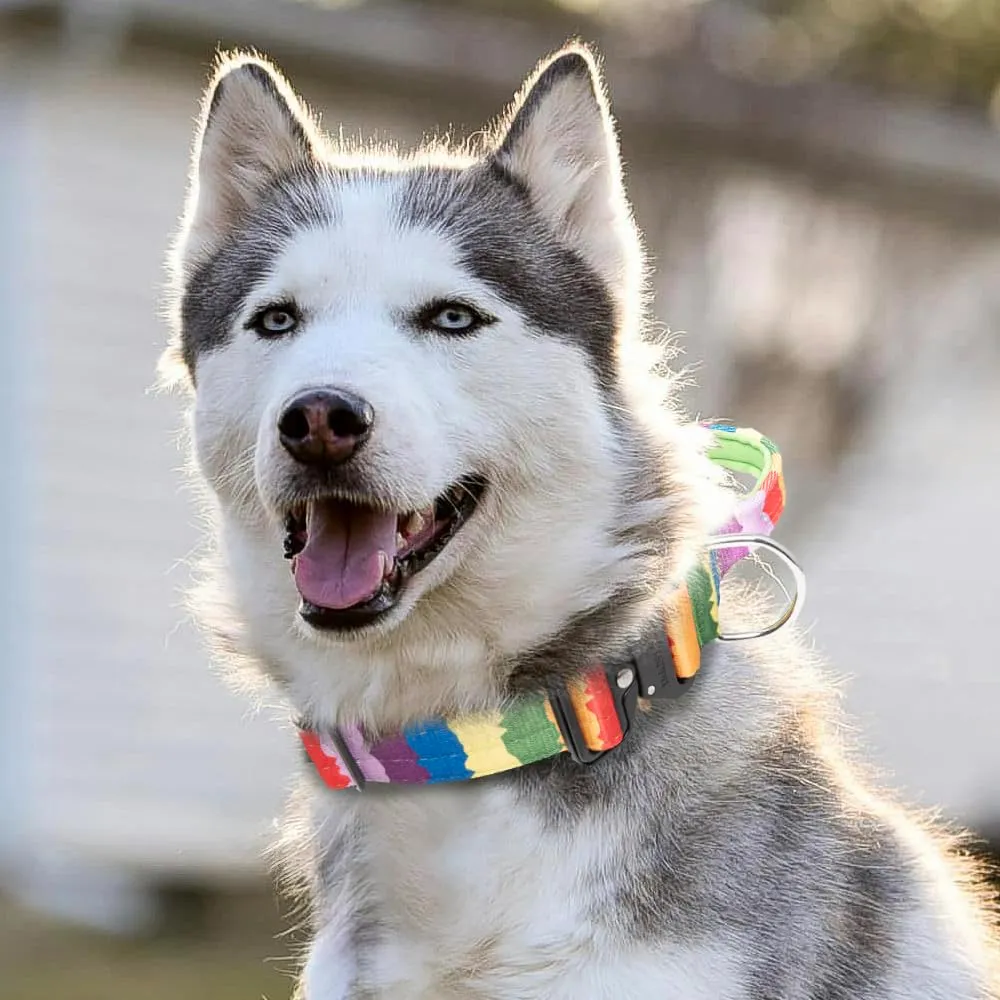 TSPRO Collare Tattico per Cane con Fibbia a Sblocco Rapido e Maniglia, 3,8 cm, Degradé - immagine 6