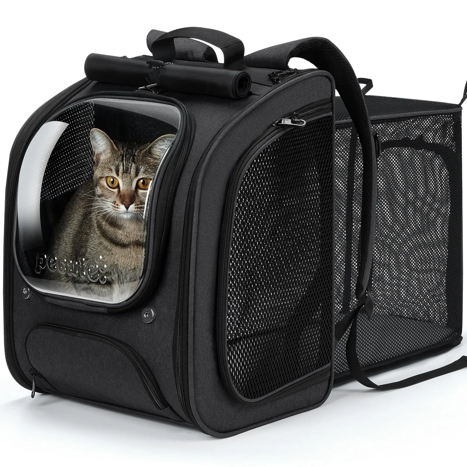 Pecute Zaino a Bolla per Gatti, Ergonomico, Nero - immagine 1