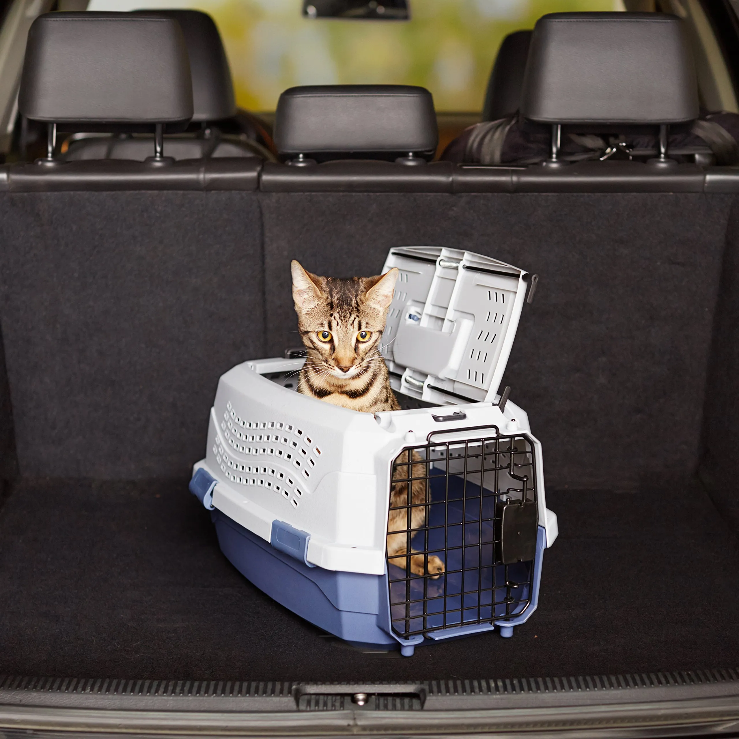 Amazon Basics Trasportino rigido per gatti, 2 sportelli, carica dall'alto, 48 x 32 x 25 cm, Blu - immagine 9