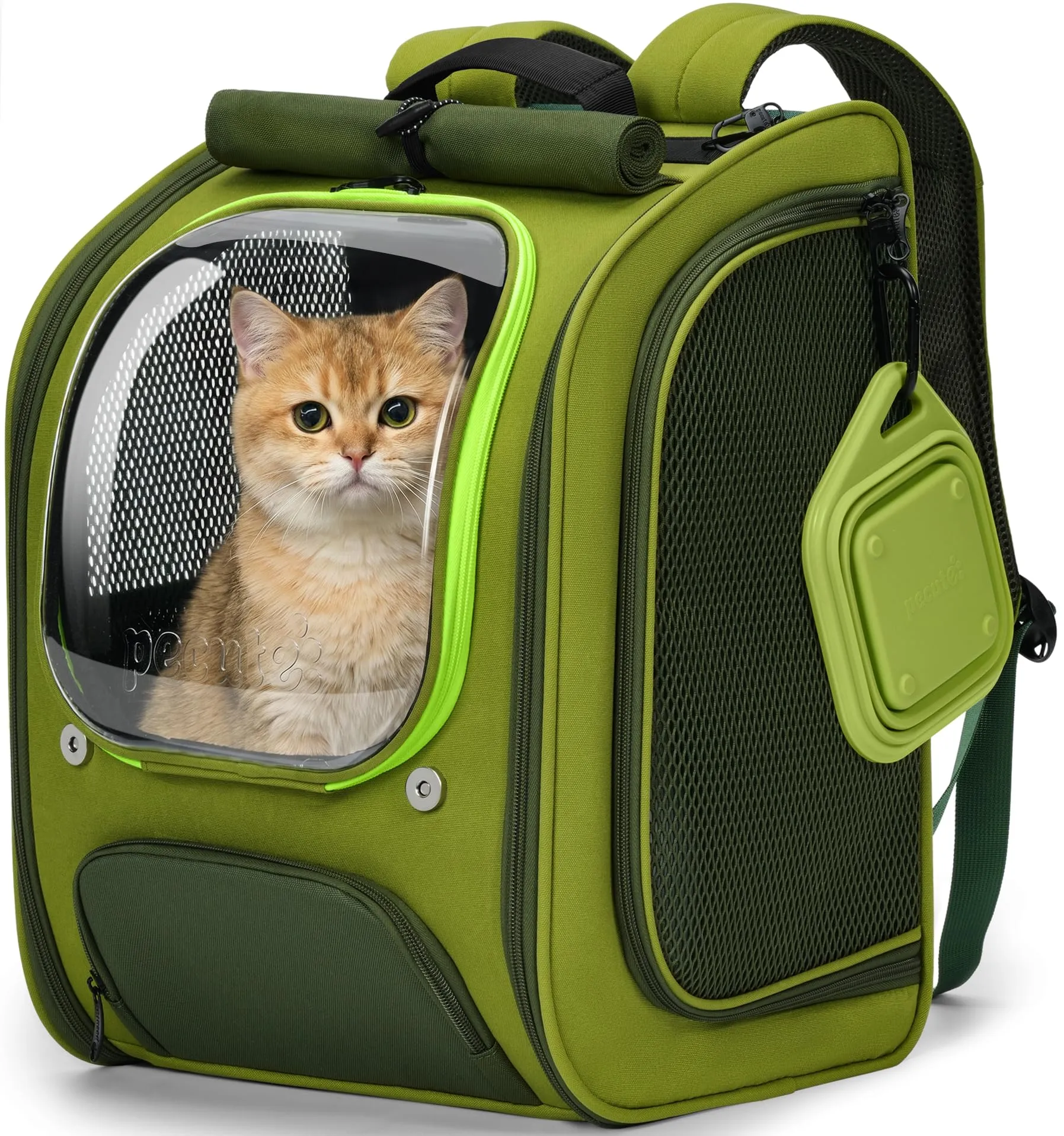 Pecute Zaino Trasporto per Gatti e Cani, Ergonomico, Verde - immagine 1