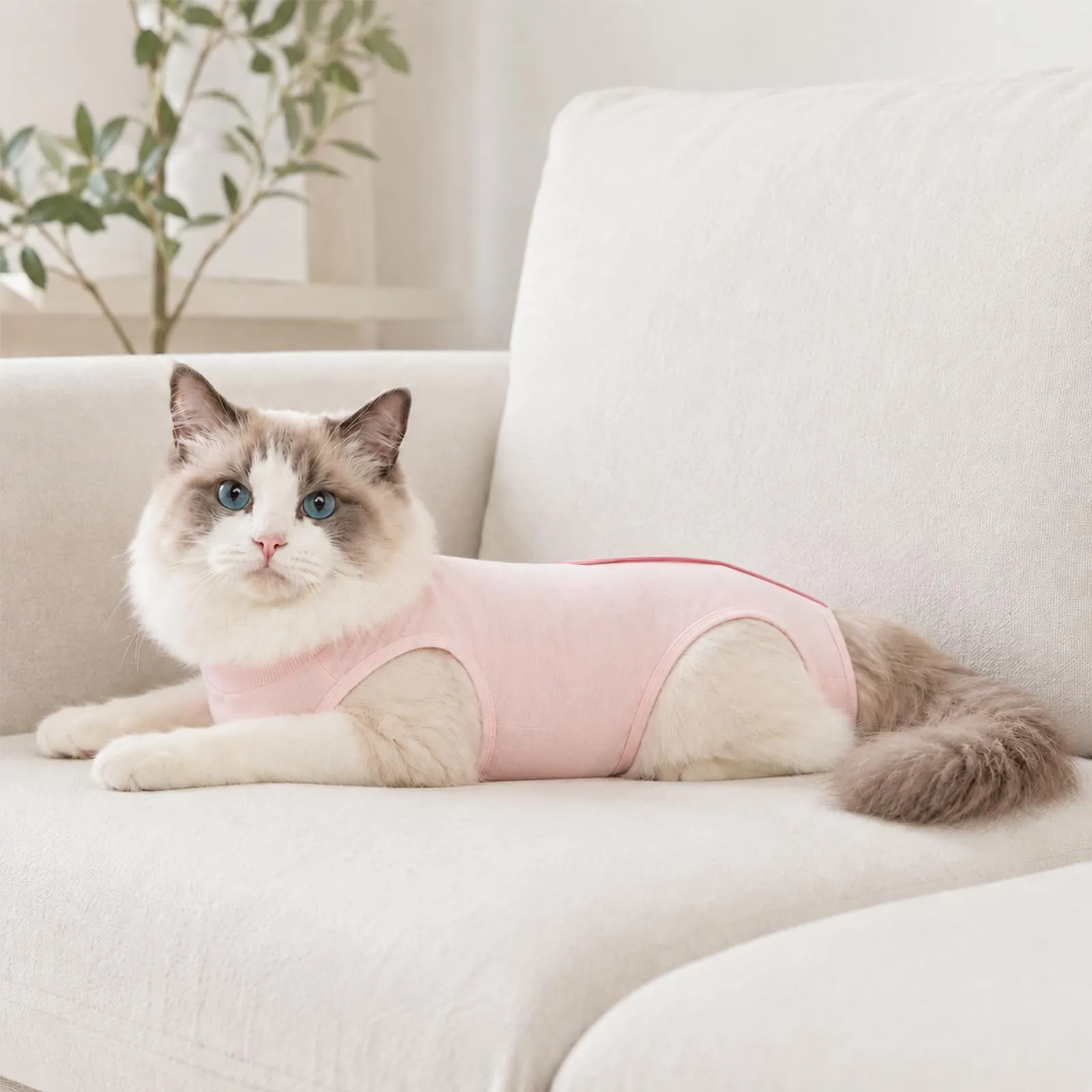 ZEMINRI Body Gatto Post Operatorio in Cotone con Chiusura Regolabile, M - immagine 9