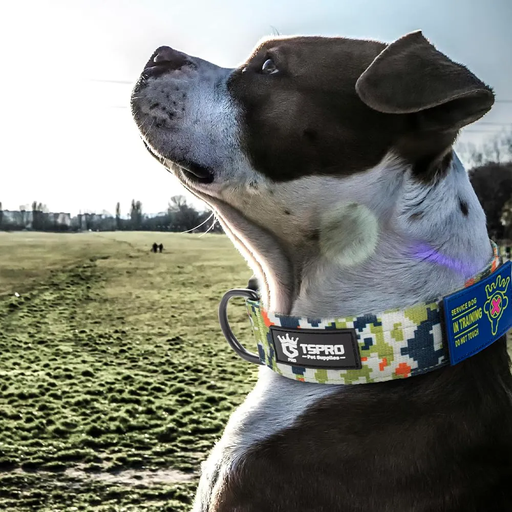 TSPRO Collare Tattico per Cani con Fibbia a Sblocco Rapido e Pannello per Toppe, Verde Mimetico, Taglia L (47,0–63,5 cm) - immagine 6