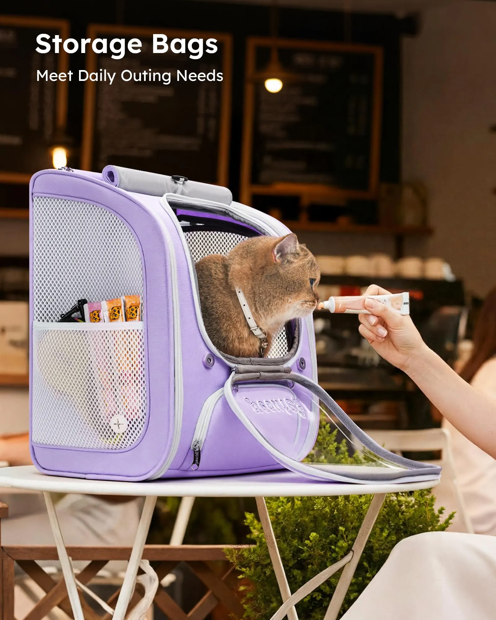 Pecute Zaino a Bolla per Gatti, Ergonomico, Viola - immagine 7