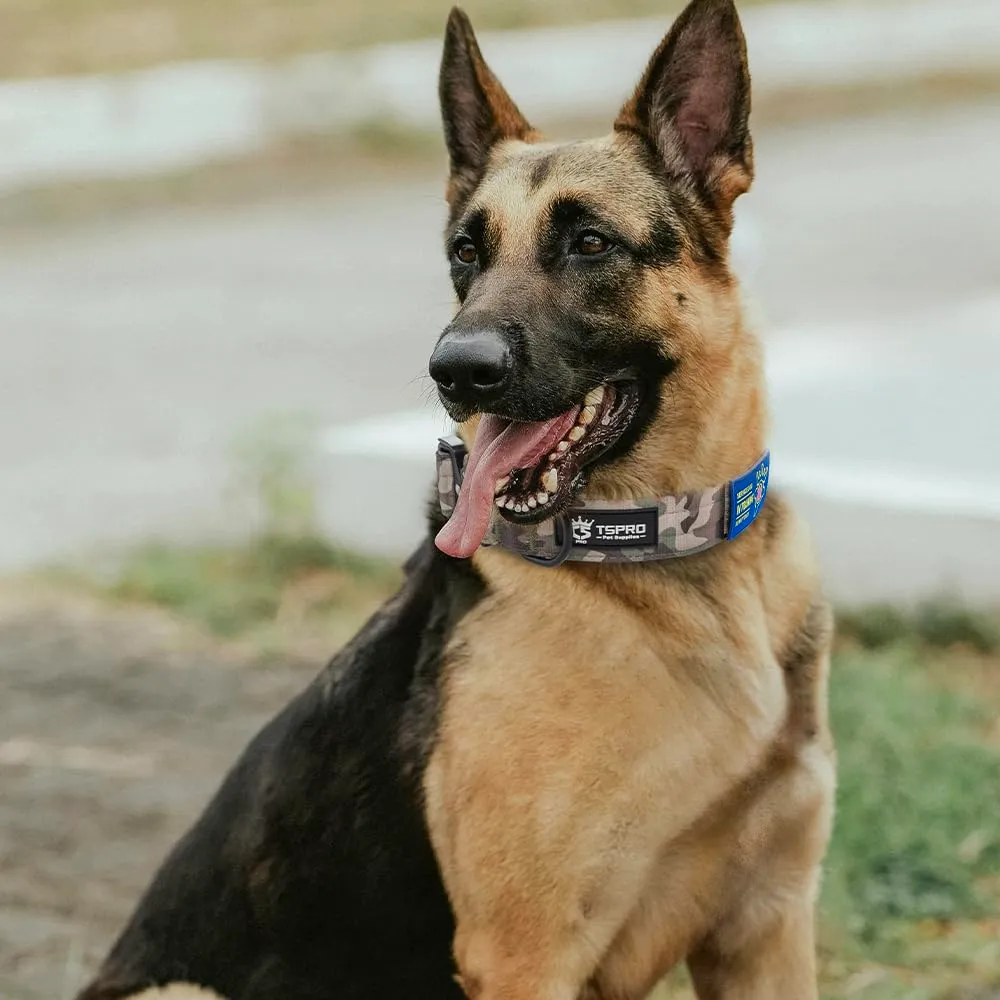 TSPRO Collare Tattico per Cani con Fibbia a Sblocco Rapido e Pannello per Toppe, Verde Militare, L (47,0–63,5 cm) - immagine 6