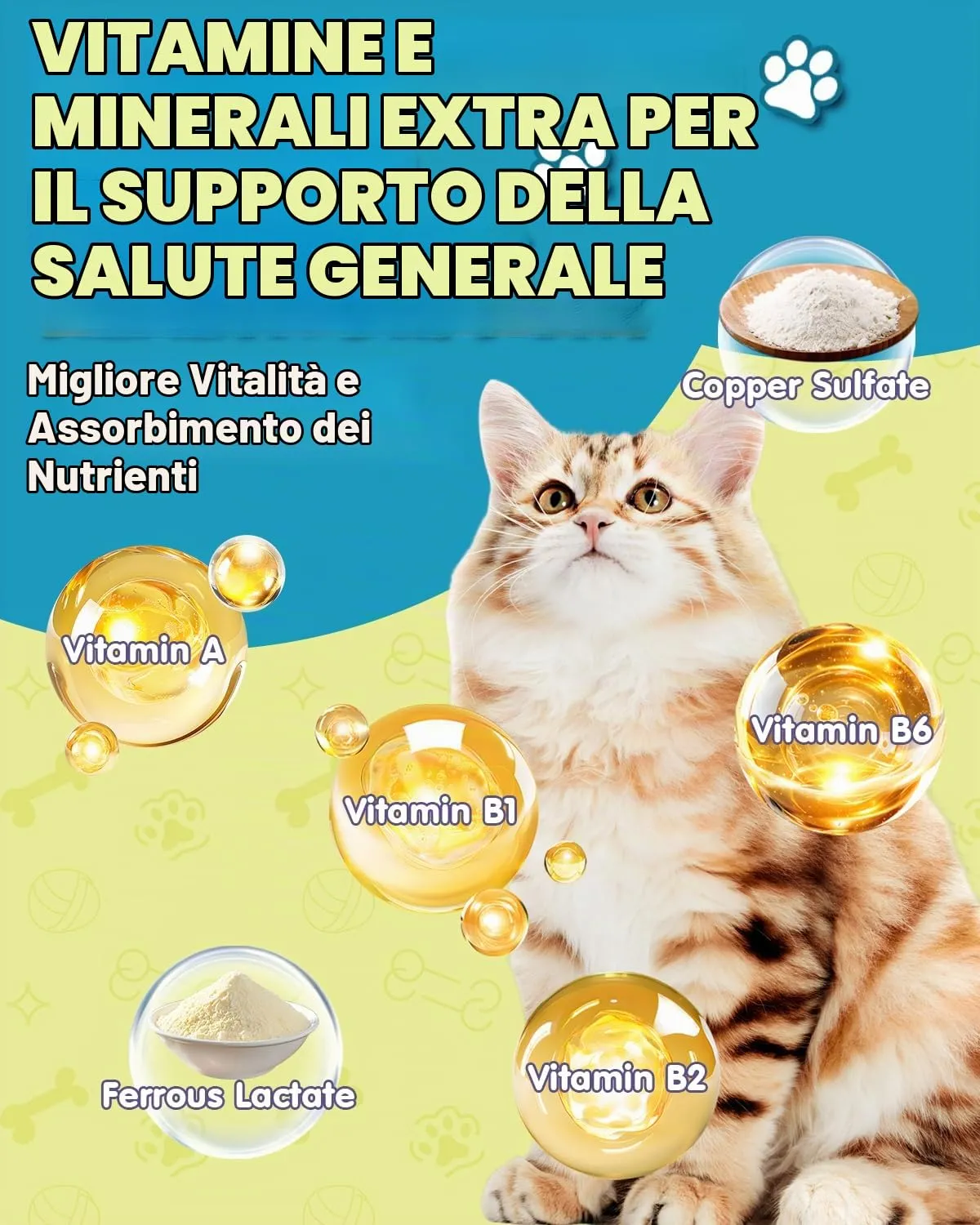Eagou Diary Lisina per Gatti, Integratore Immunitario e Respiratorio, 60ml x 2 - immagine 5