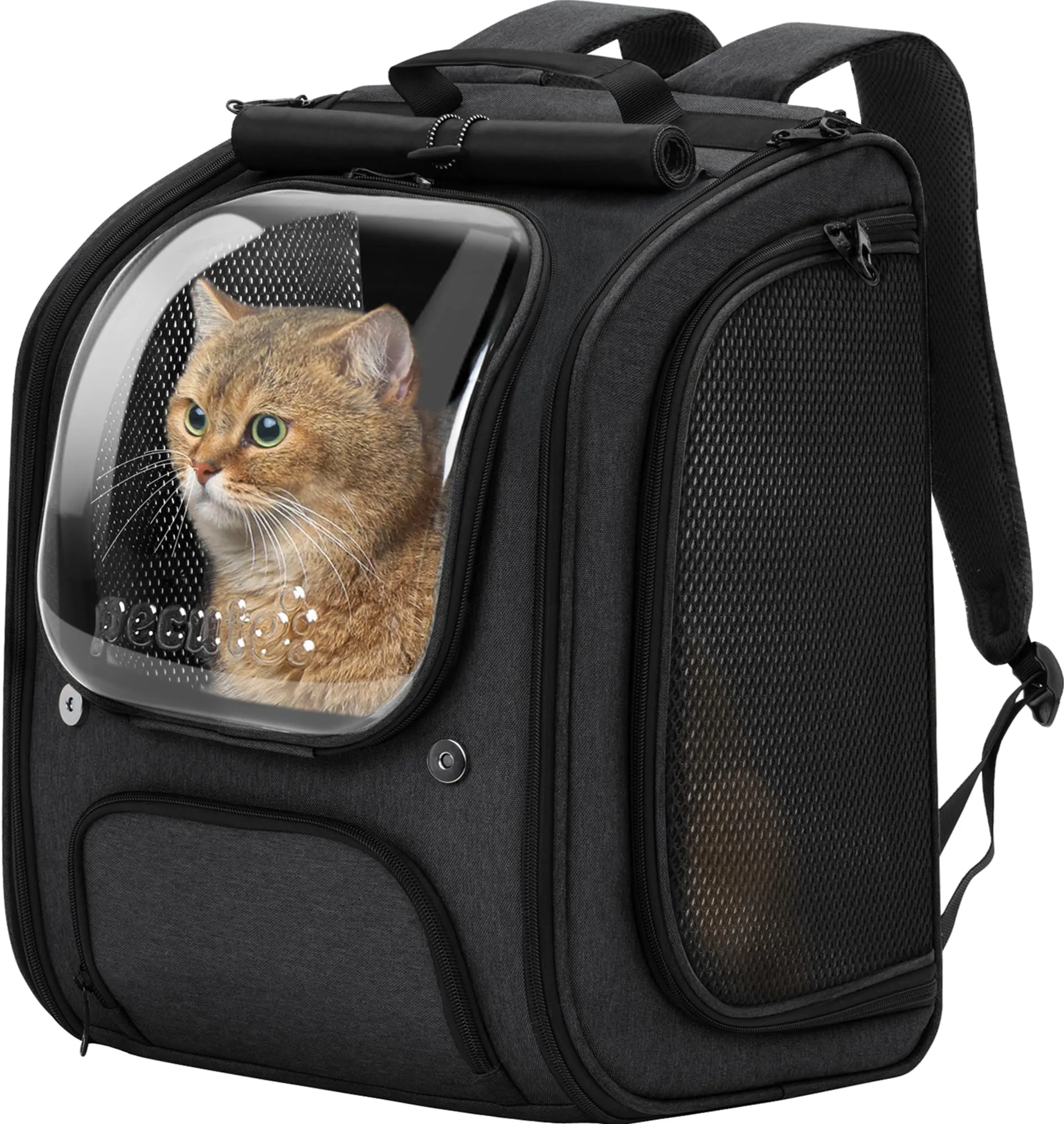 Pecute Zaino a Bolla per Gatti, Ergonomico, Nero - immagine 1