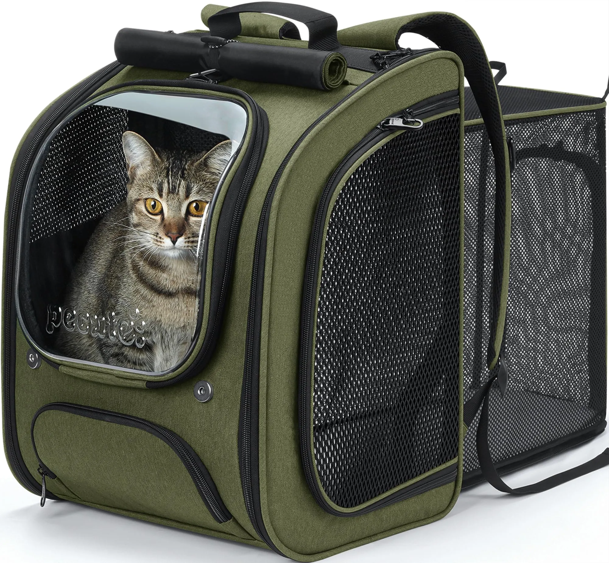 Pecute Zaino a Bolla per Gatti, Ergonomico, Verde - immagine 1