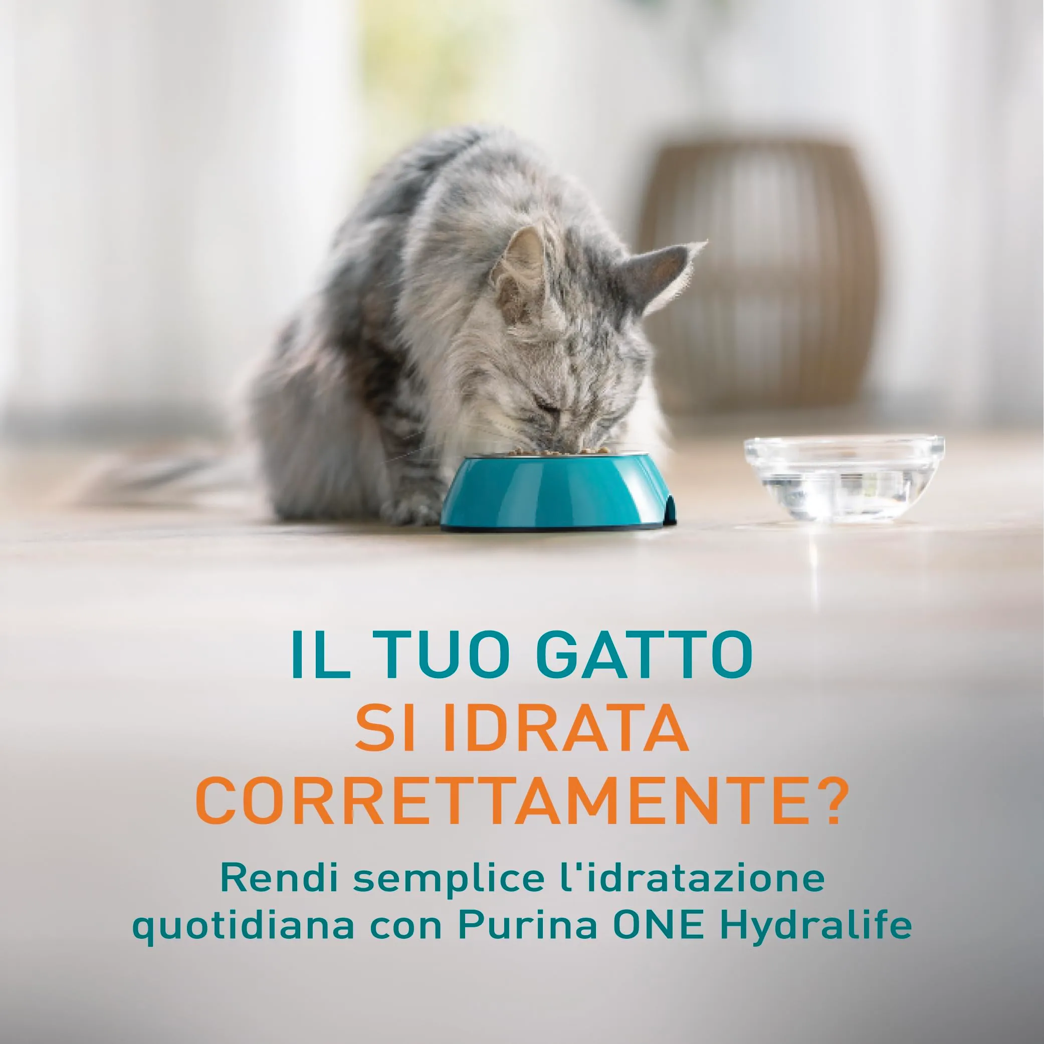 Purina ONE HydraLife per Gatti Adulti, Pollo, 12 Bustine da 50g - immagine 2