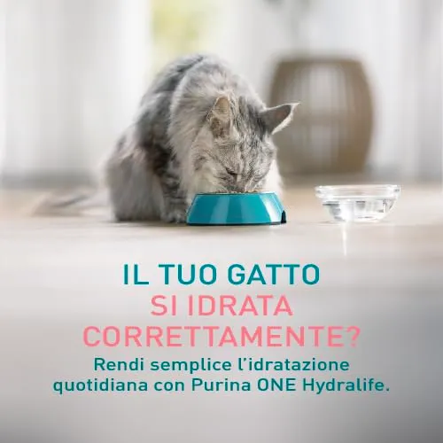Purina ONE HydraLife per Gatti Adulti, Salmone, 12 Bustine da 50g - immagine 2