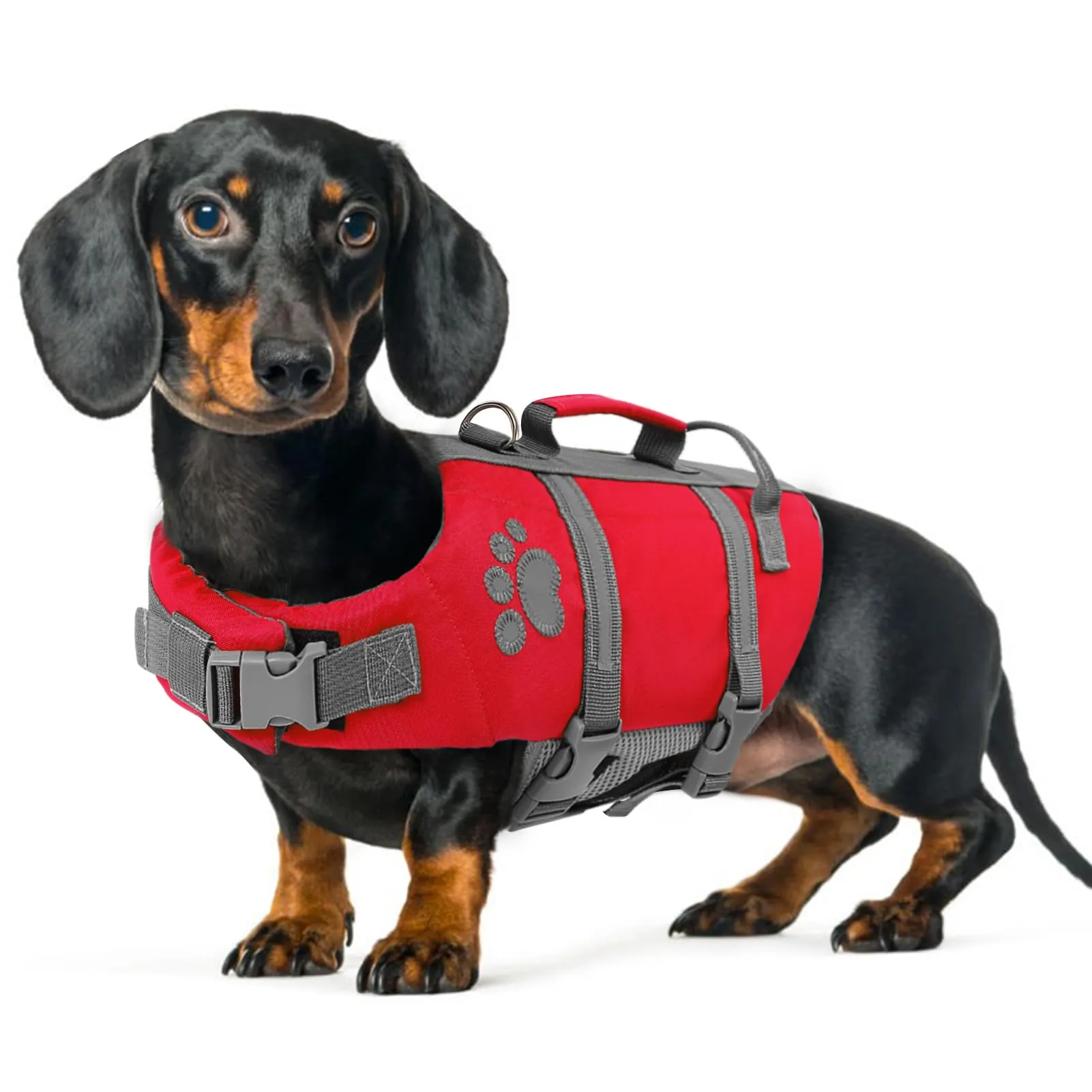 Queenmore Salvagente per Cani Taglia Media, Riflettente, Rosso (M) - immagine 1