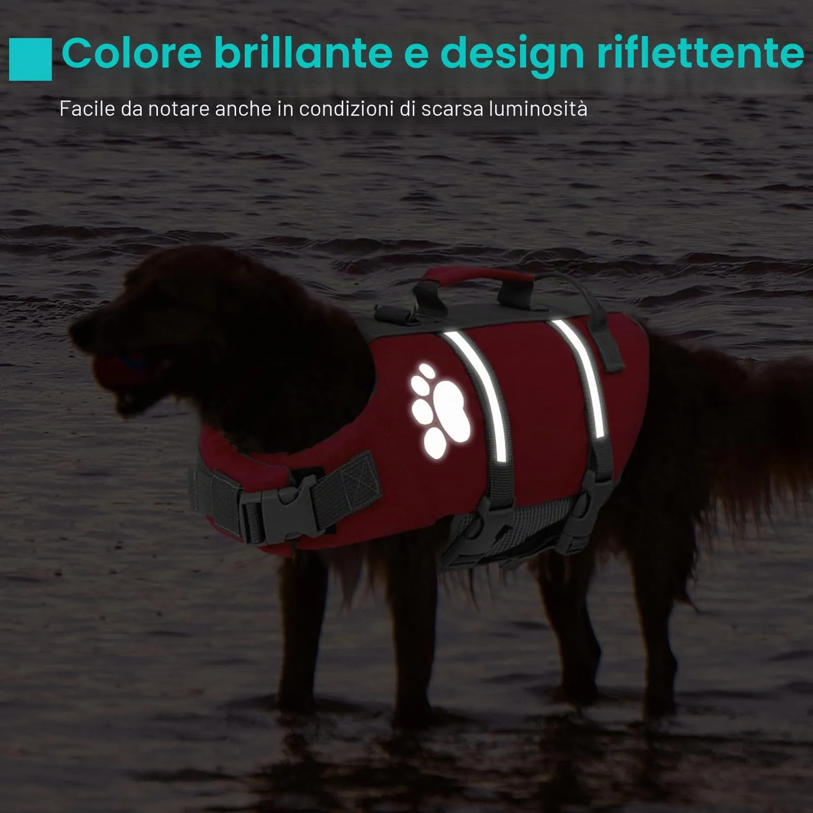 Queenmore Salvagente per Cani Taglia Media, Riflettente, Rosso (M) - immagine 4