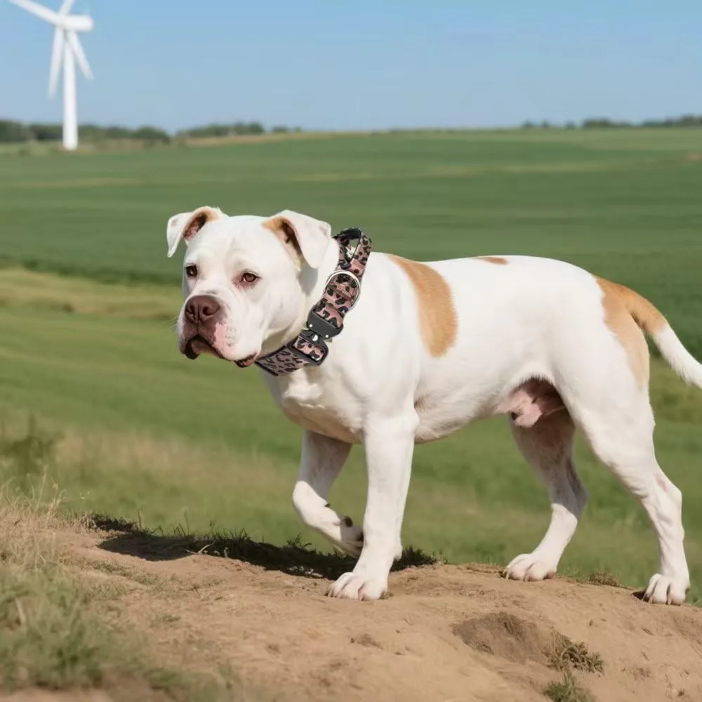 TSPRO Collare Tattico per Cane con Maniglia e Fibbia a Sblocco Rapido, Stampa Leopardata, Taglia L (44,5–62,2 cm), 3,8 cm - immagine 6