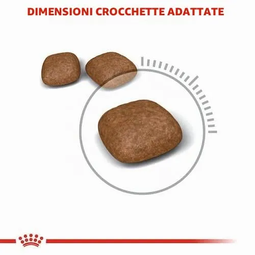 Royal Canin Urinary Care Cibo secco per gatti adulti, 2 x 400 g - immagine 5