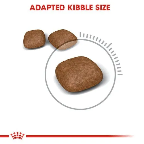 Royal Canin Urinary Care Cibo Secco per Gatti Adulti, 3 x 400 g - immagine 5