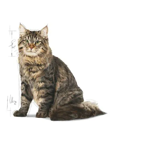 Royal Canin Urinary Care Cibo Secco per Gatti Adulti, 3 x 400 g - immagine 6