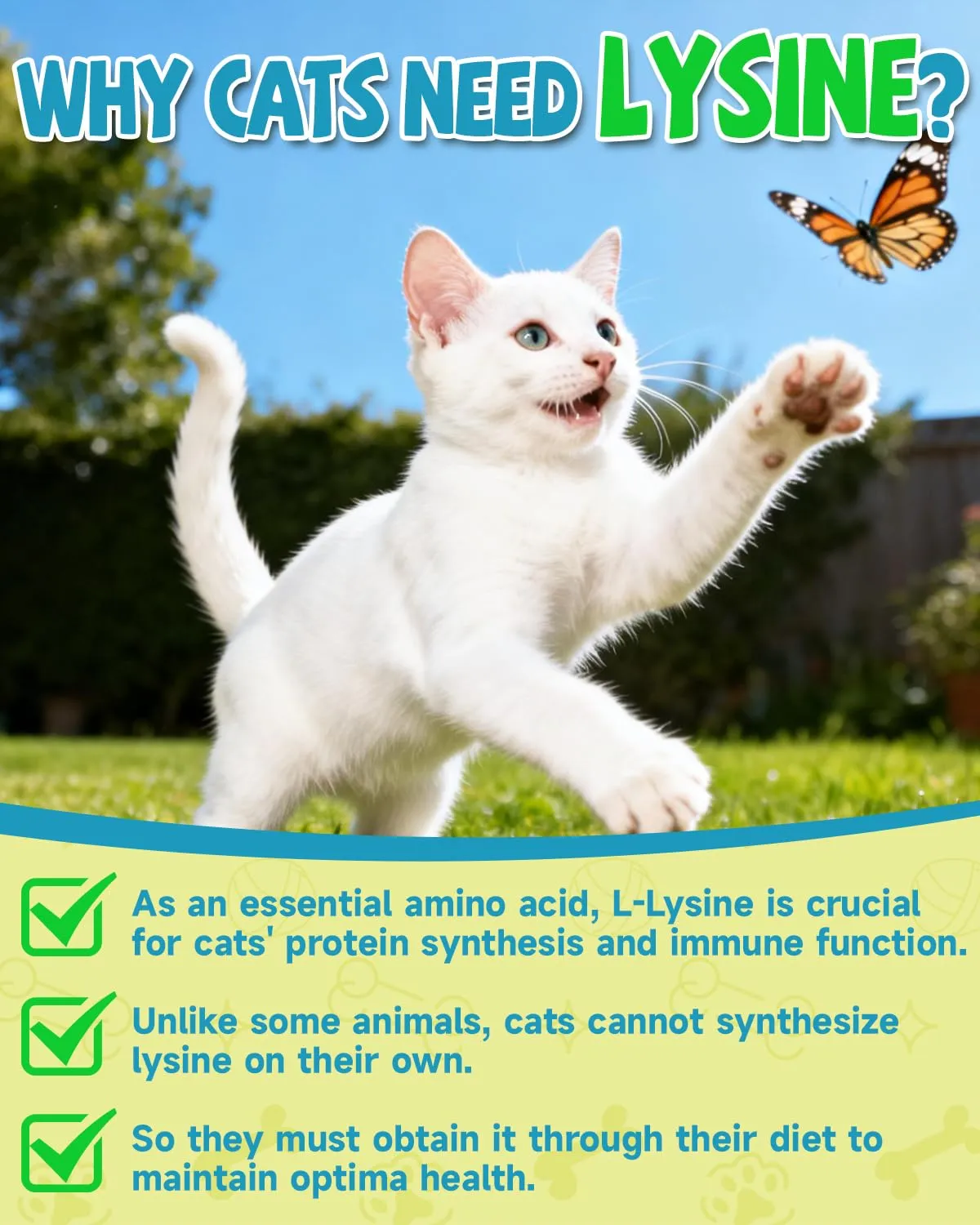 Eagou Diary Lisina per Gatti, Integratore per Sistema Immunitario, Allergie e Vie Respiratorie, 60ml - immagine 2