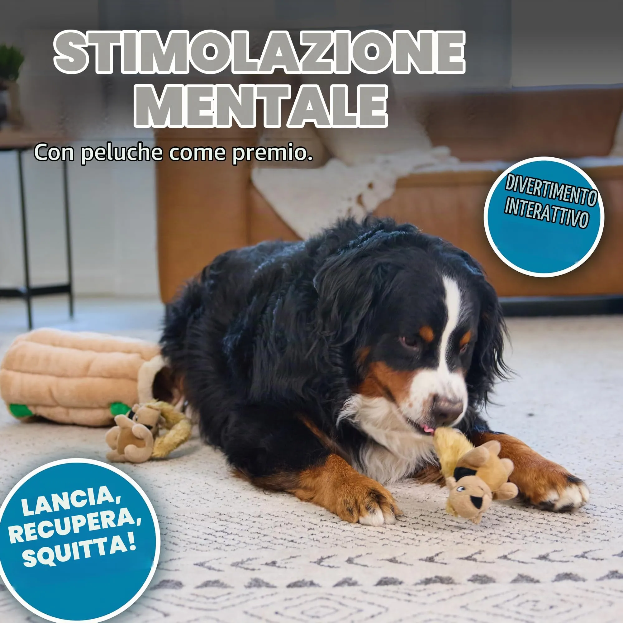 Outward Hound Hide A Squirrel Gioco Rompicapo per Cani con Peluche a Forma di Scoiattolo, XL - immagine 4