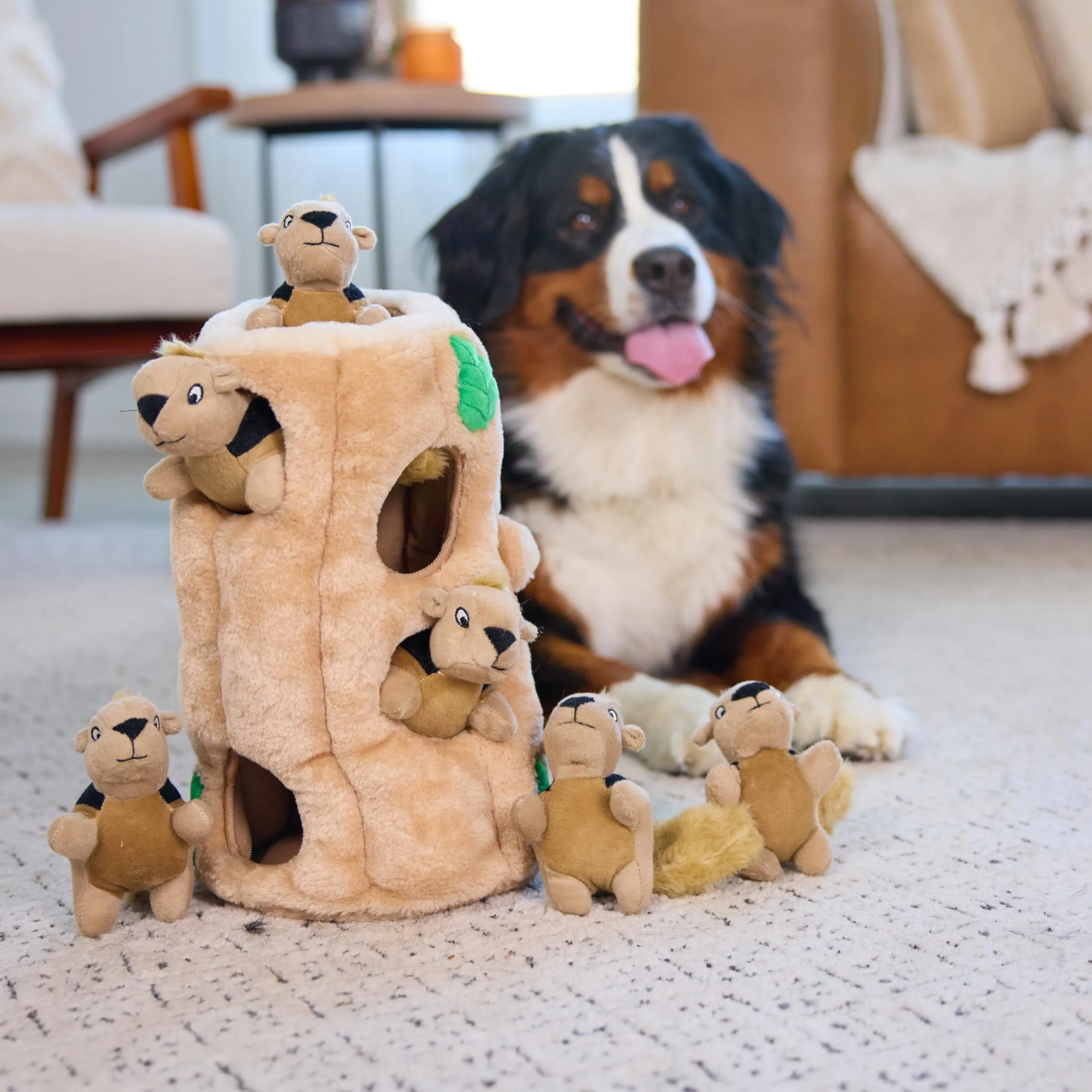 Outward Hound Hide A Squirrel Gioco Rompicapo per Cani con Peluche a Forma di Scoiattolo, XL - immagine 6