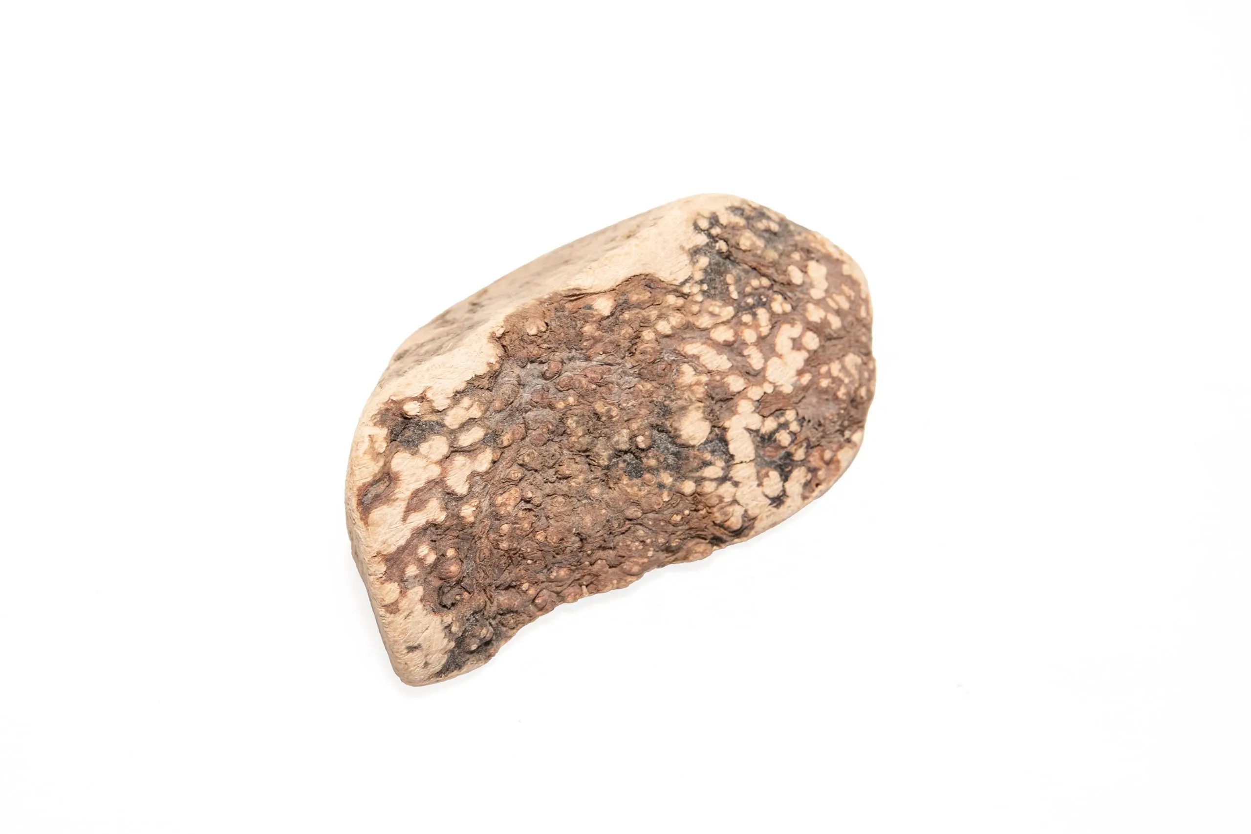WoodWoof Masticativi Naturali per Cani Radice di Erica XS - immagine 2