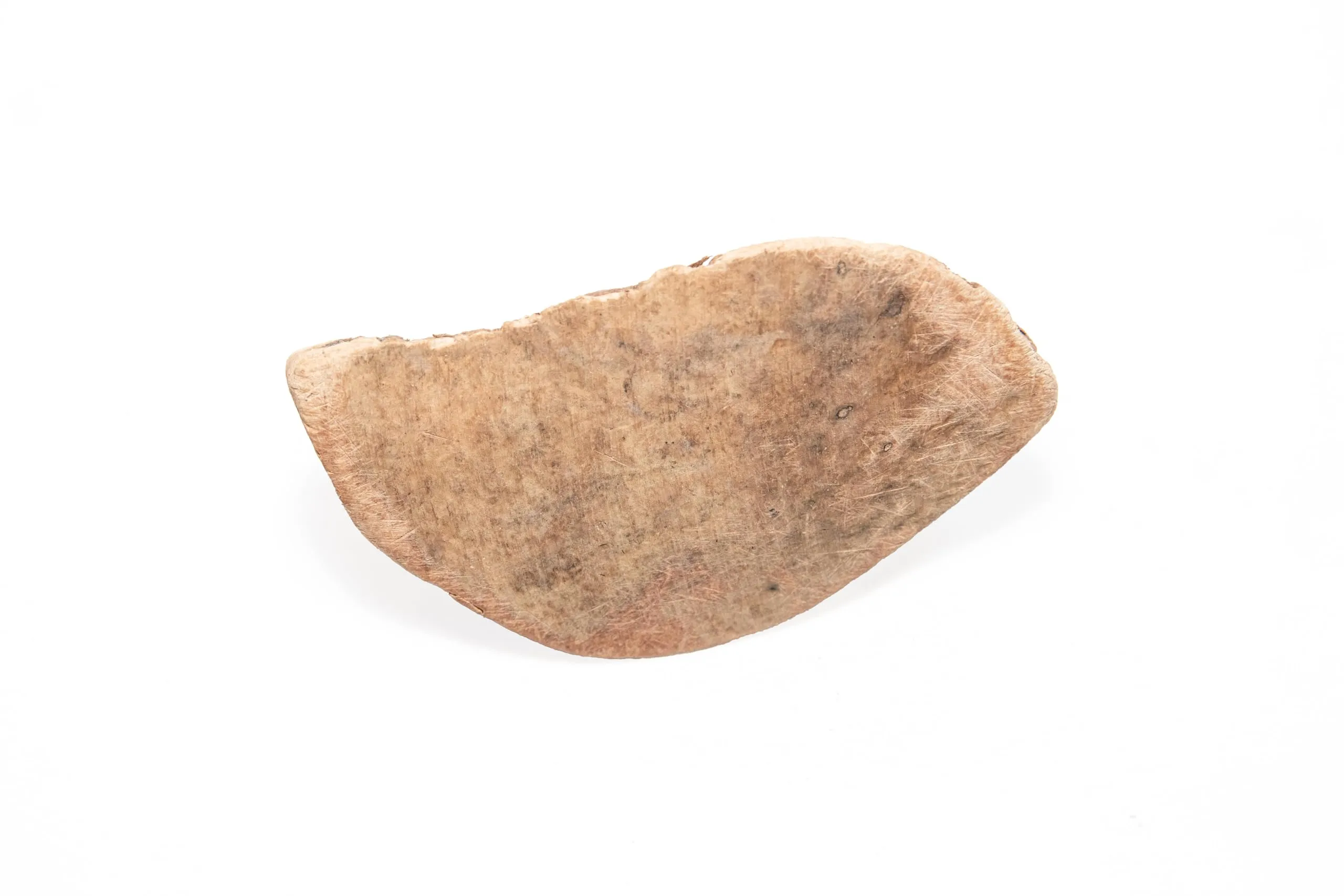 WoodWoof Masticativi Naturali per Cani Radice di Erica XS - immagine 3