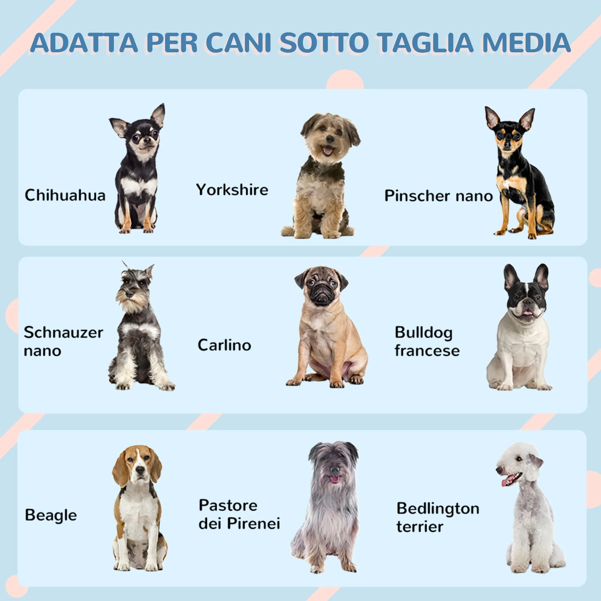 PawHut Casetta per Cani Impermeabile, 65x75.7x63 cm, Blu - immagine 6