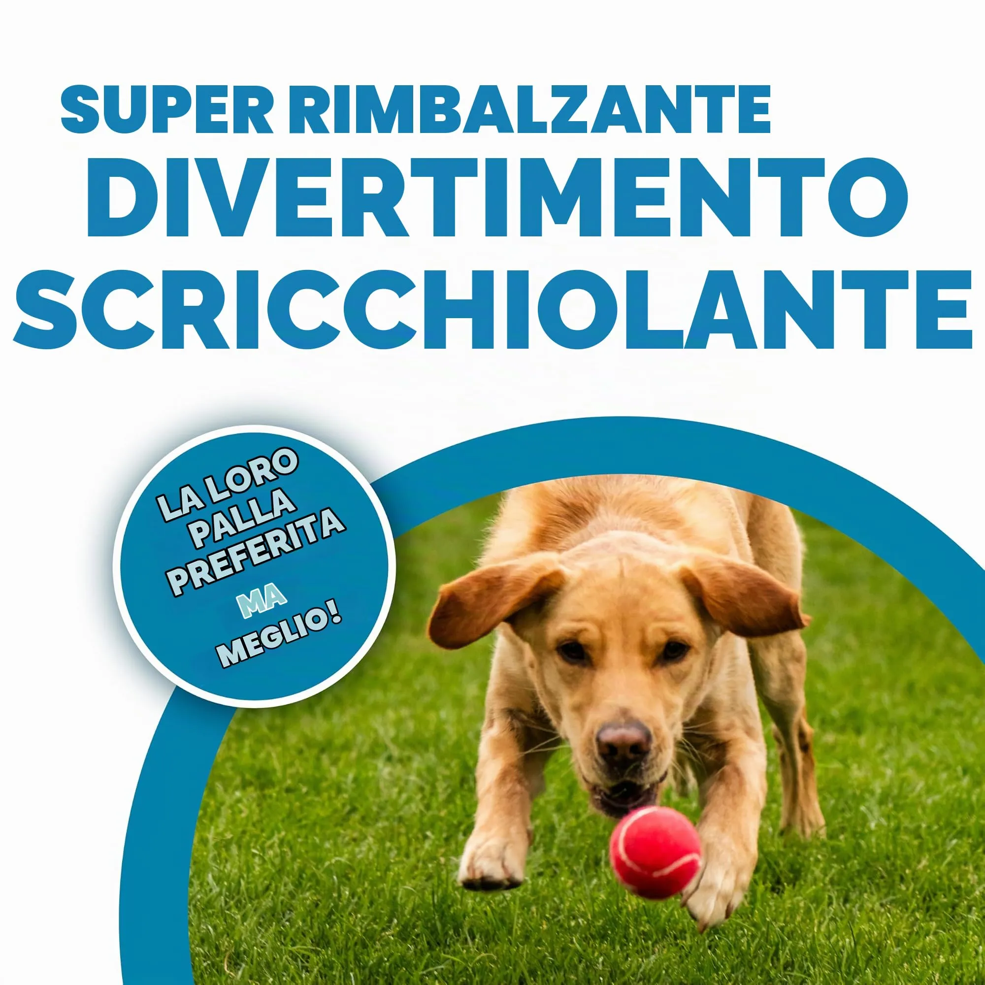 Outward Hound Squeaker Ballz, Medium, 4 pieces - immagine 2