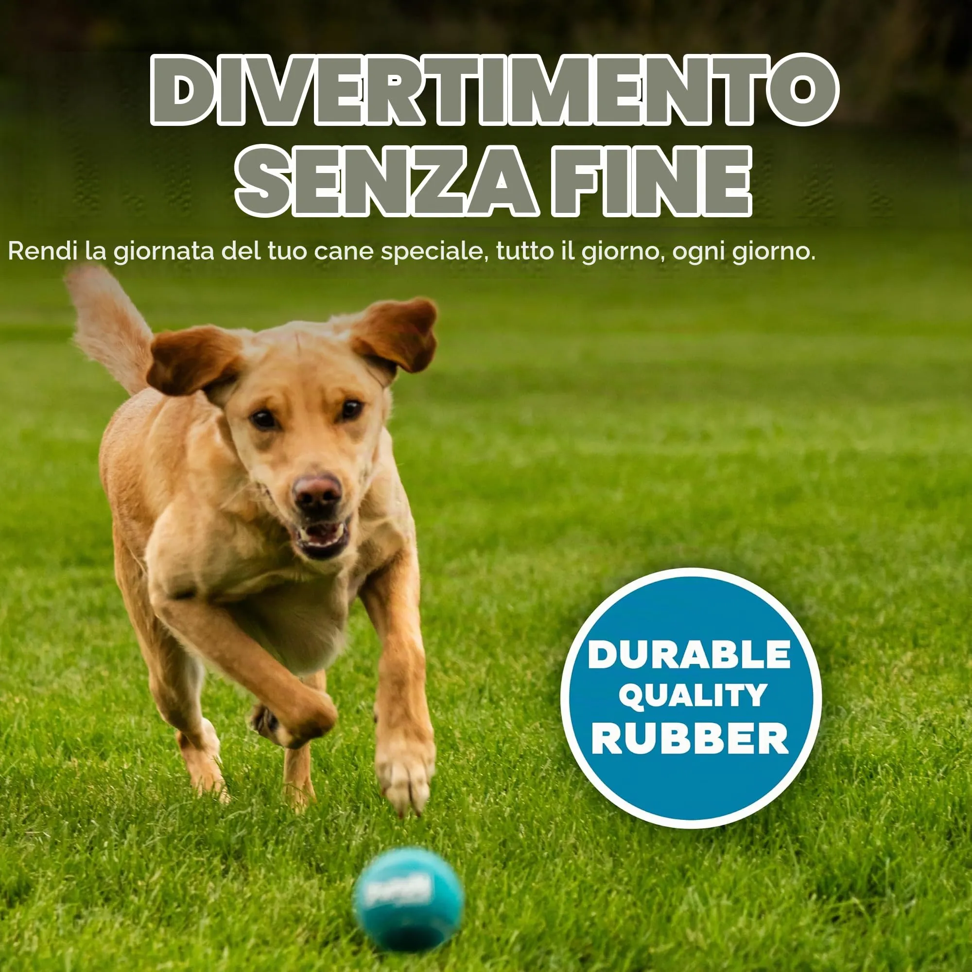 Outward Hound Squeaker Ballz, Medium, 4 pieces - immagine 4