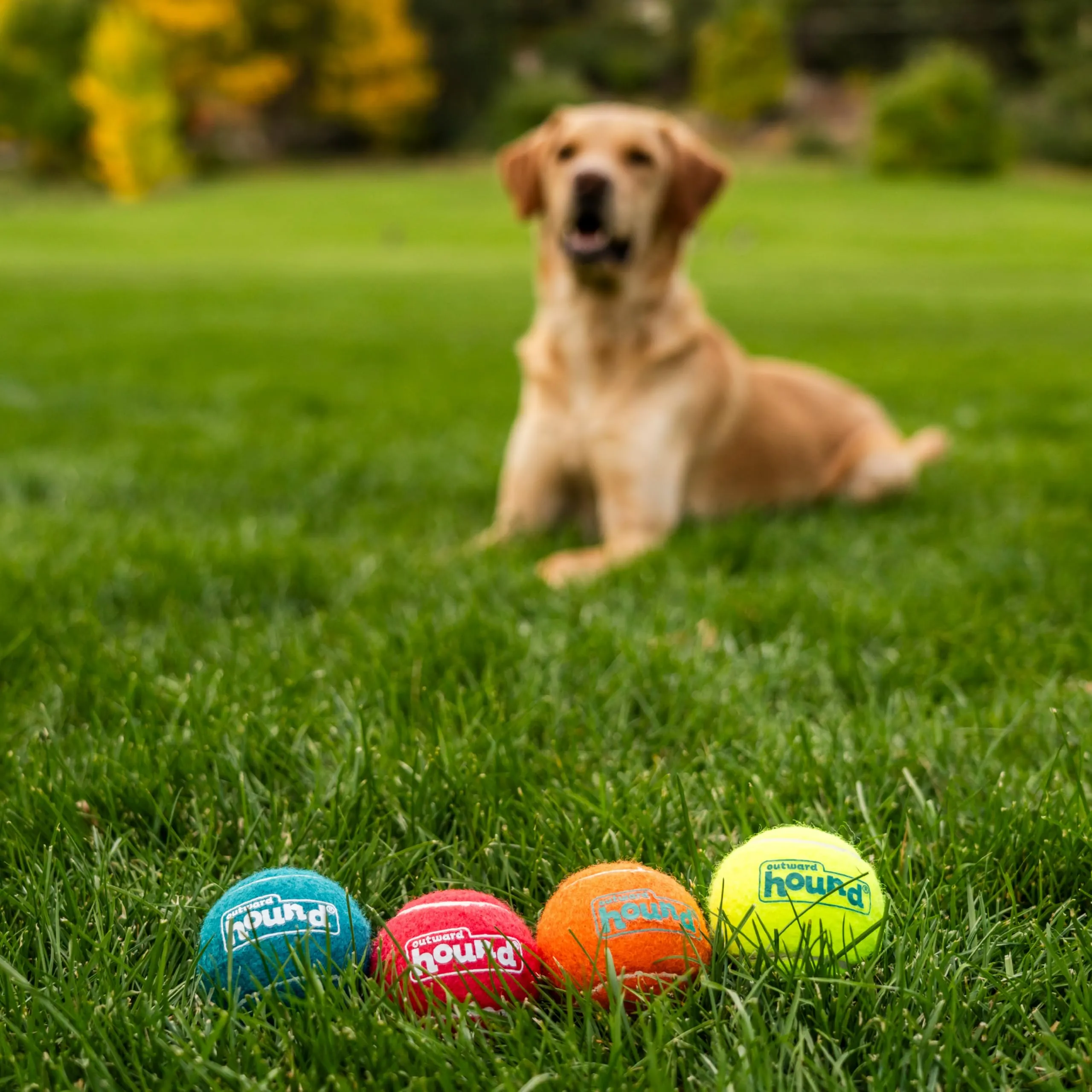 Outward Hound Squeaker Ballz, Medium, 4 pieces - immagine 5