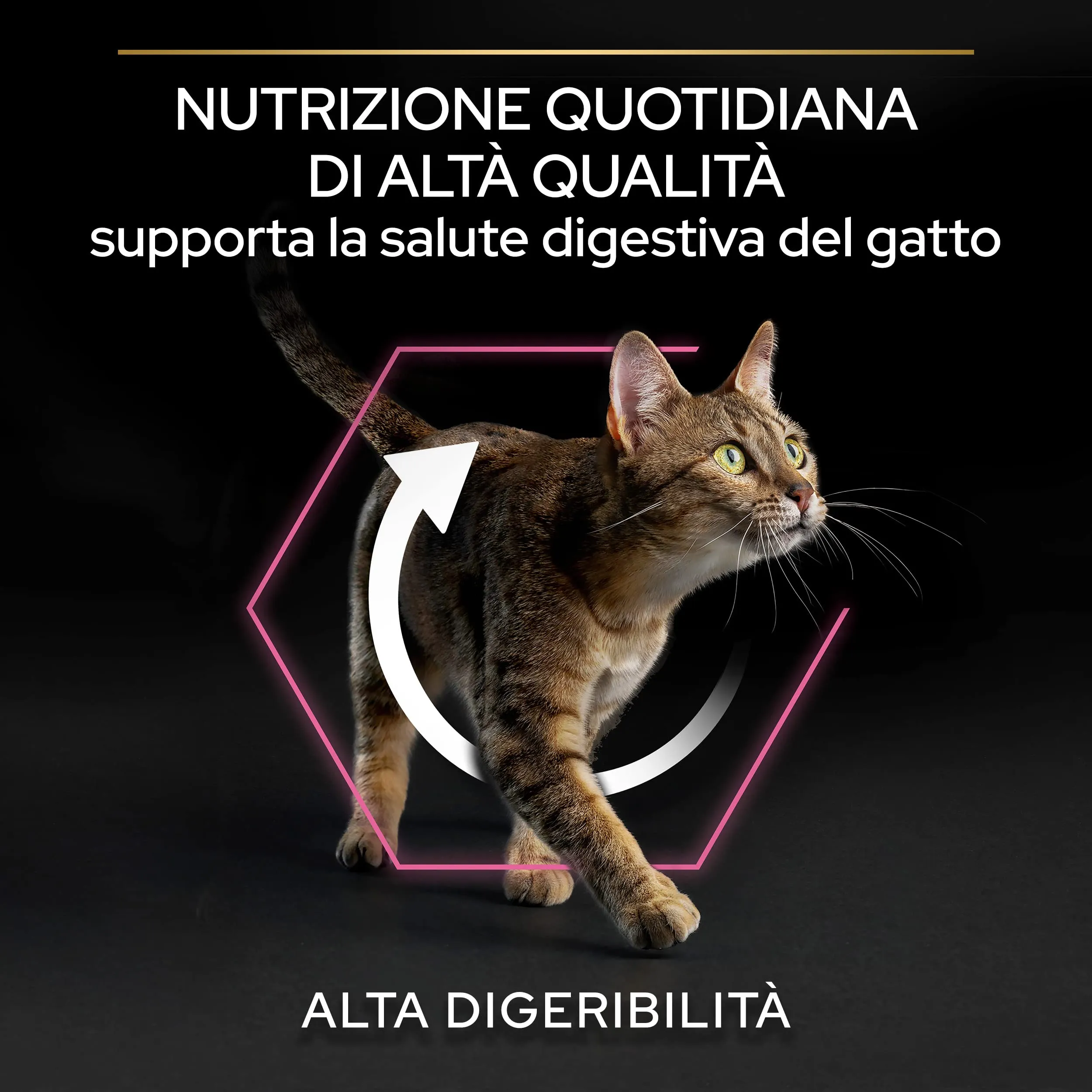 Purina Pro Plan Delicate Digestion Crocchette Gatti Adulti Tacchino, 6 x 1,5 kg - immagine 3