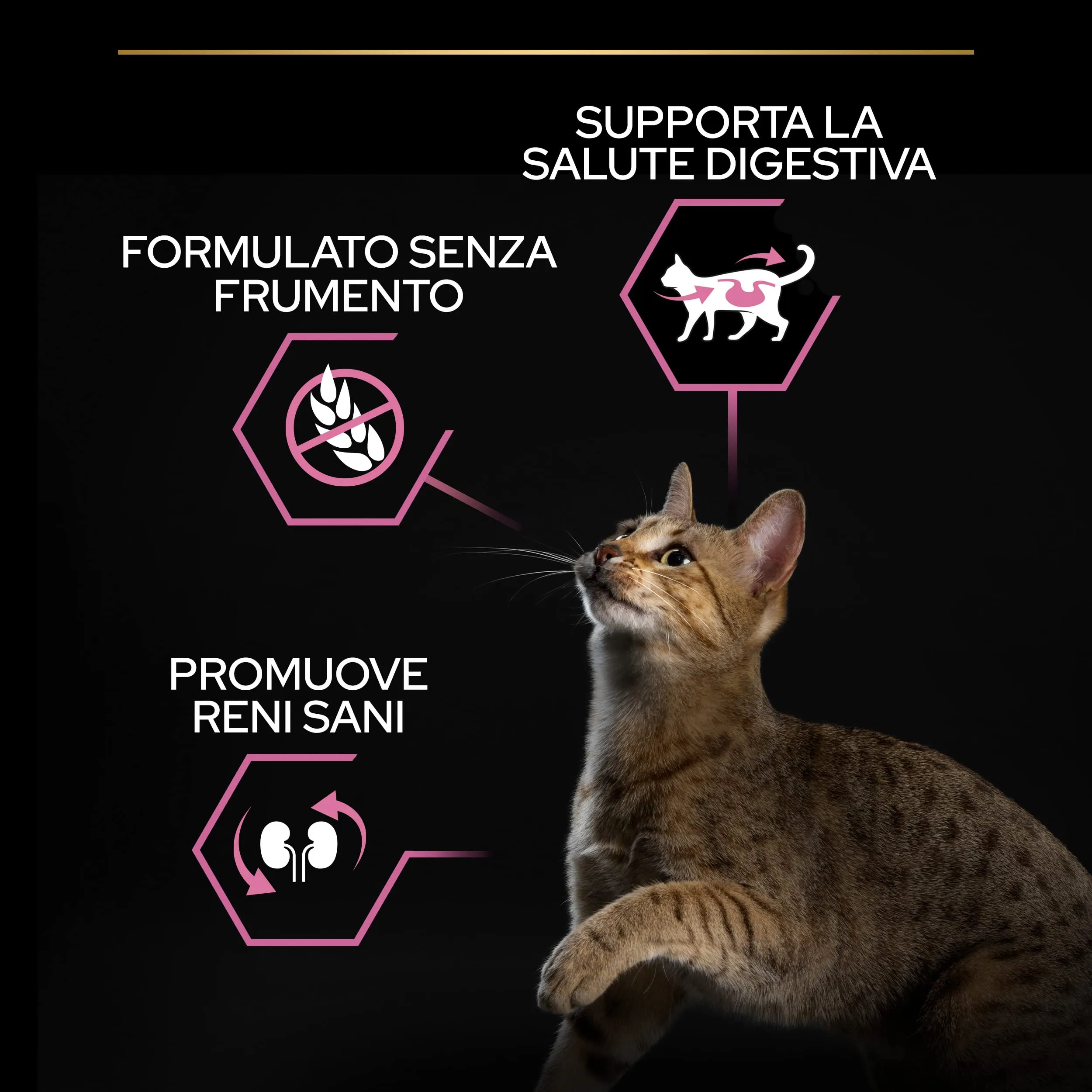 Purina Pro Plan Delicate Digestion Crocchette Gatti Adulti Tacchino, 6 x 1,5 kg - immagine 4