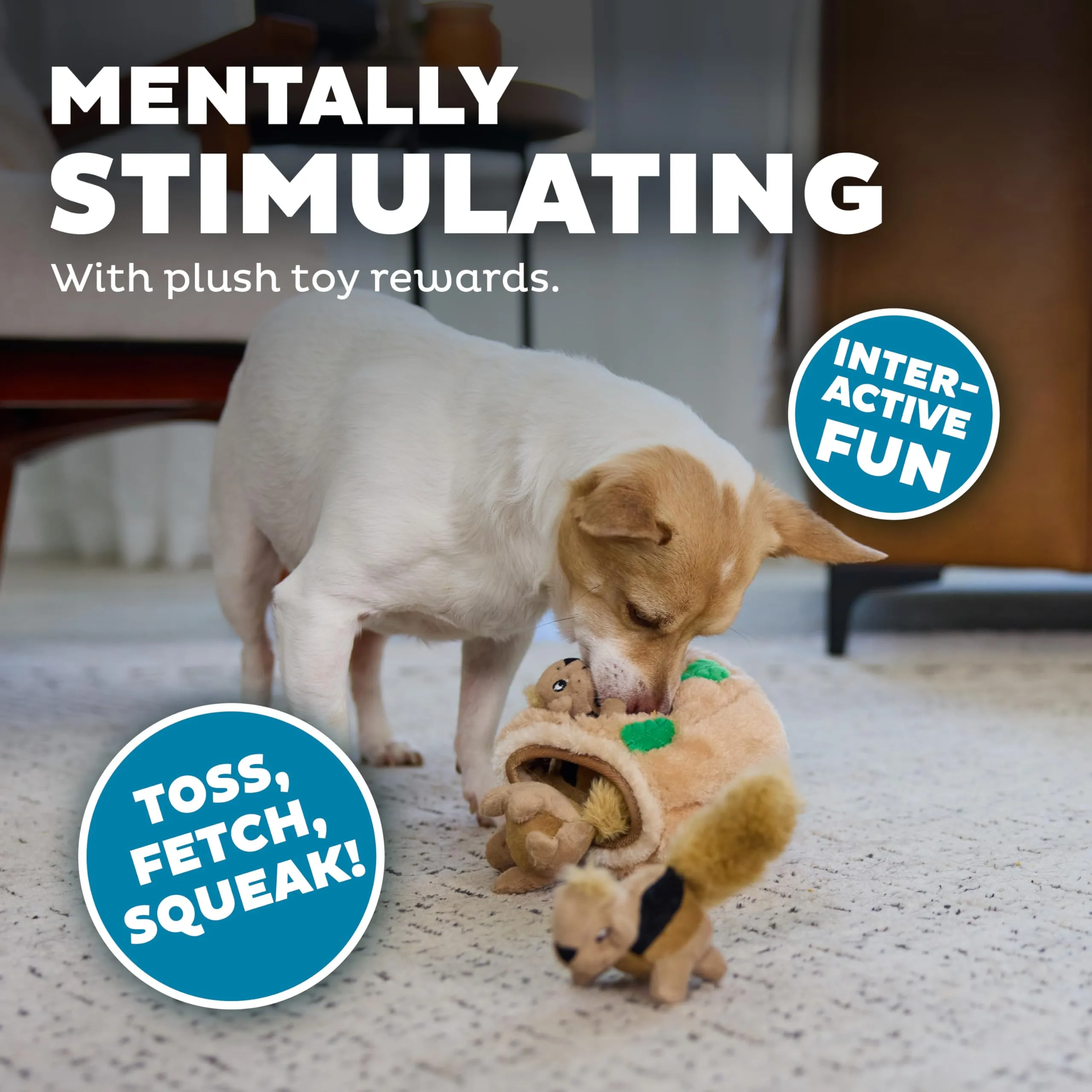 Outward Hound Hide A Squirrel Puzzle Toy for Dogs, Small - immagine 4