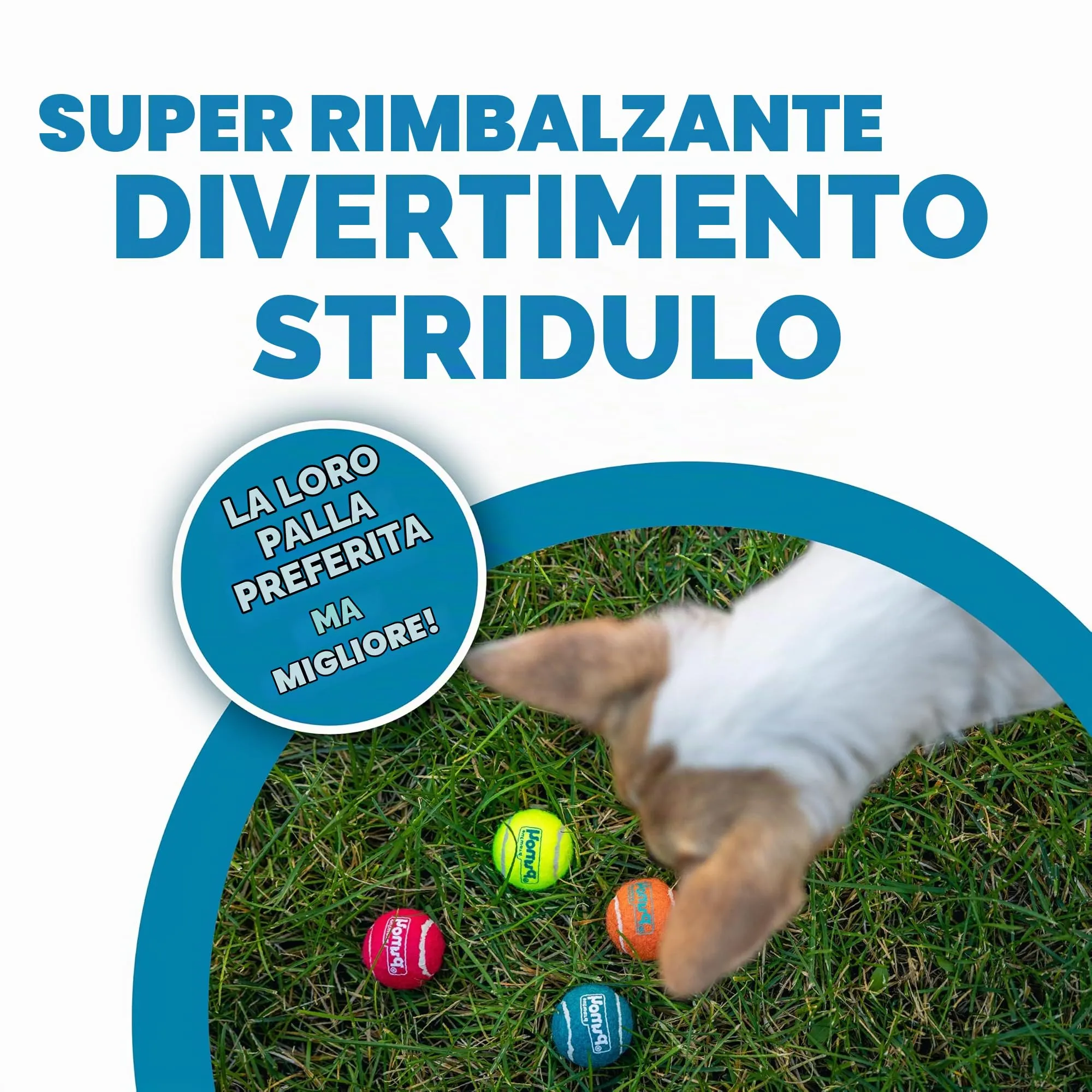 Outward Hound Squeaker Ballz Gioco da riporto per cani, palline con suono, XS, 4 pezzi - immagine 2