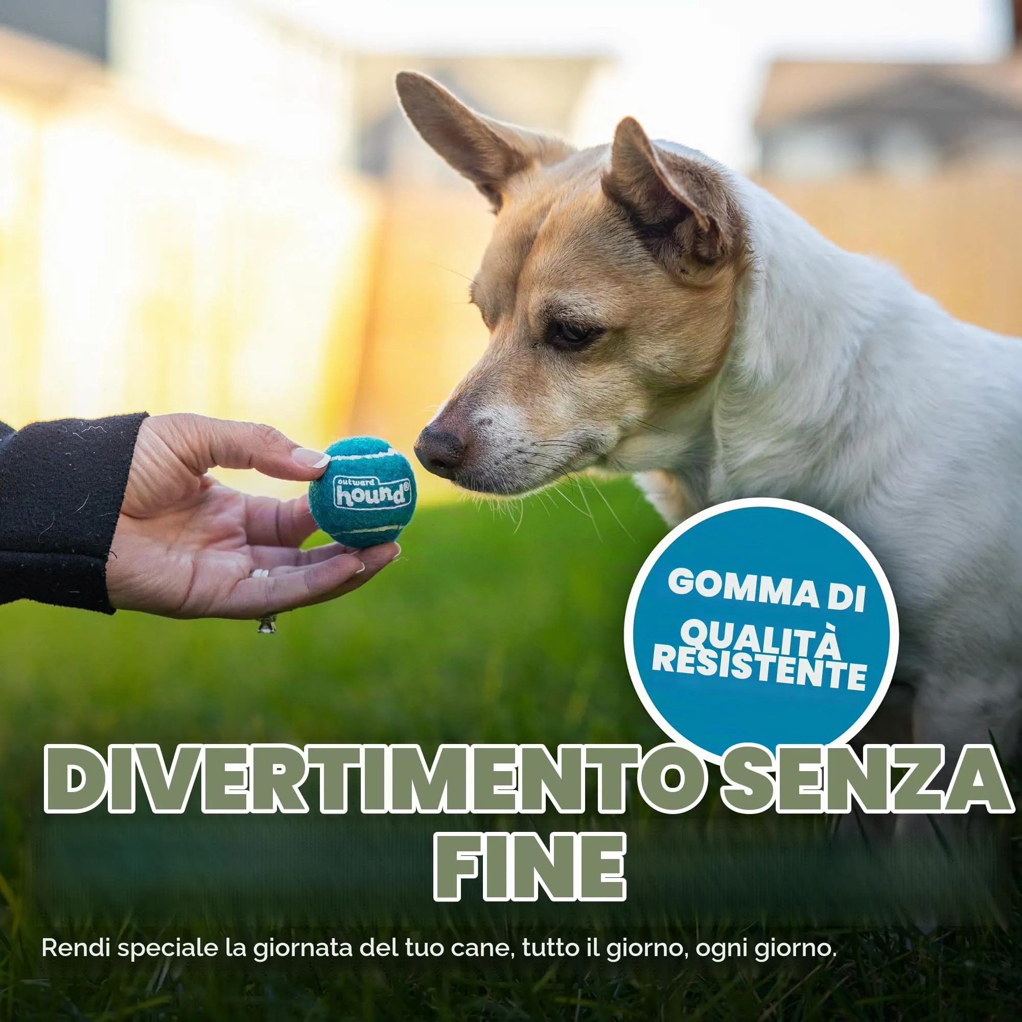 Outward Hound Squeaker Ballz Gioco da riporto per cani, palline con suono, XS, 4 pezzi - immagine 4