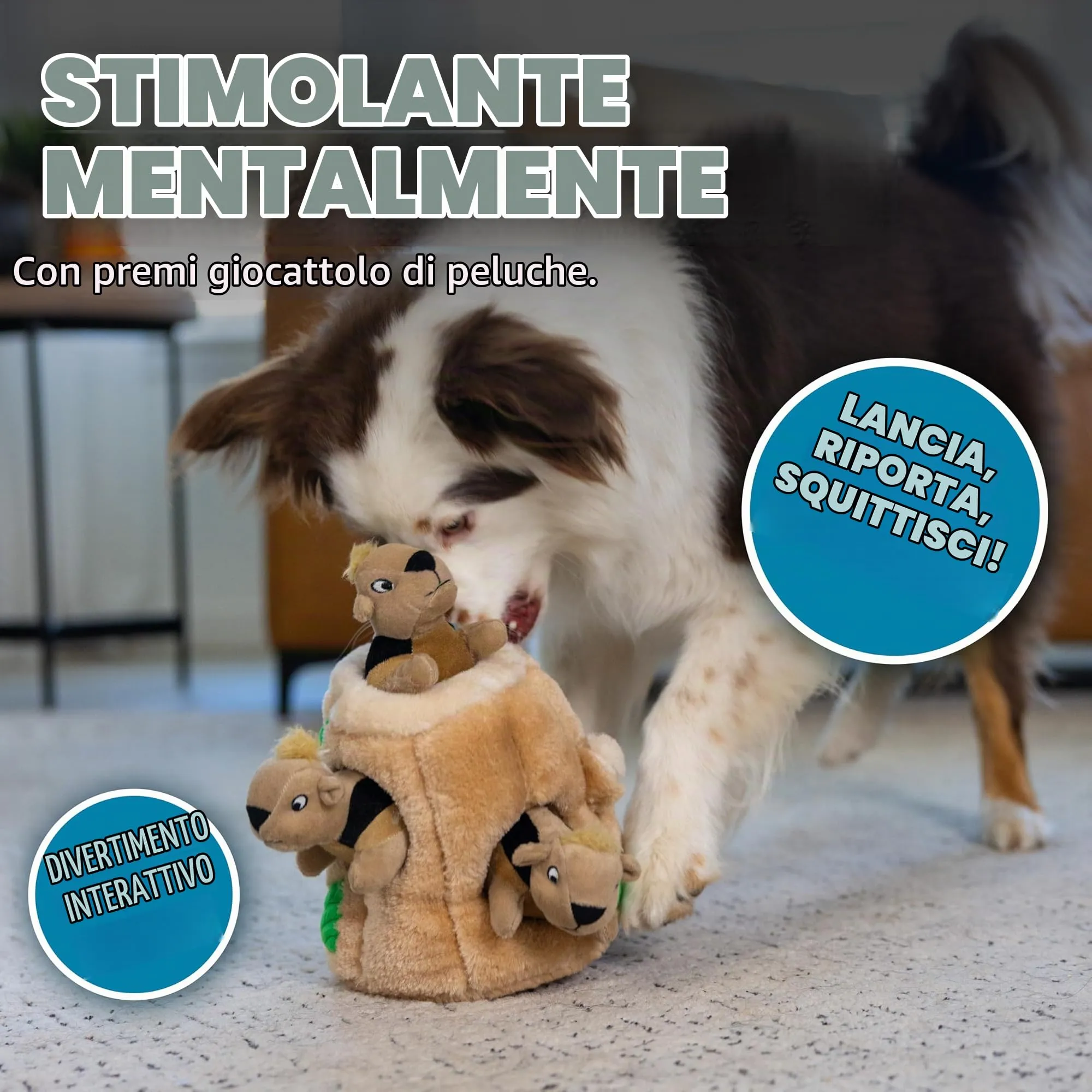 Outward Hound Hide A Squirrel Gioco Rompicapo per Cani, Medium - immagine 4