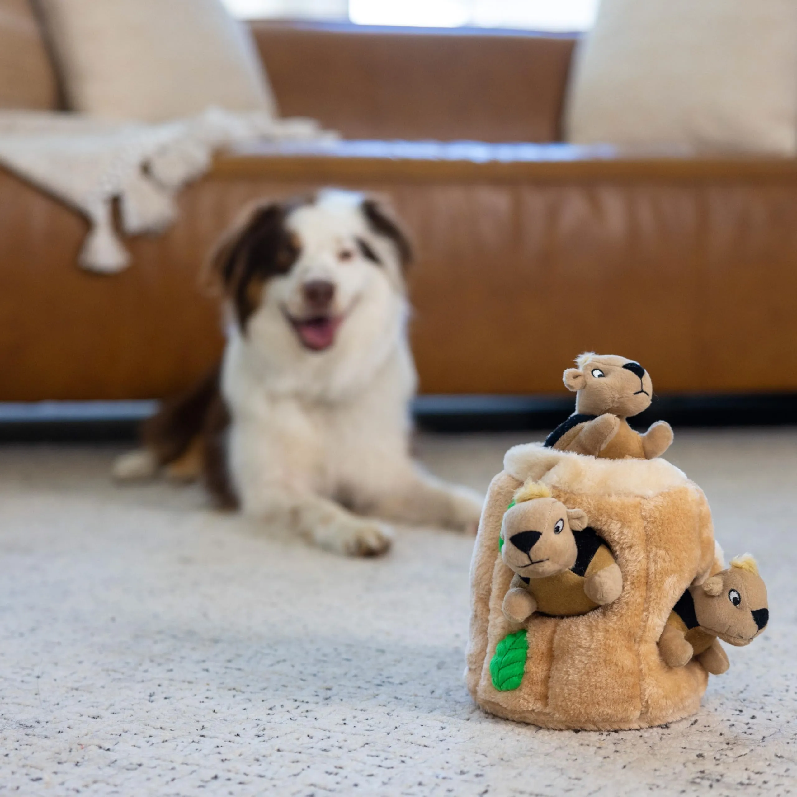Outward Hound Hide A Squirrel Gioco Rompicapo per Cani, Medium - immagine 6